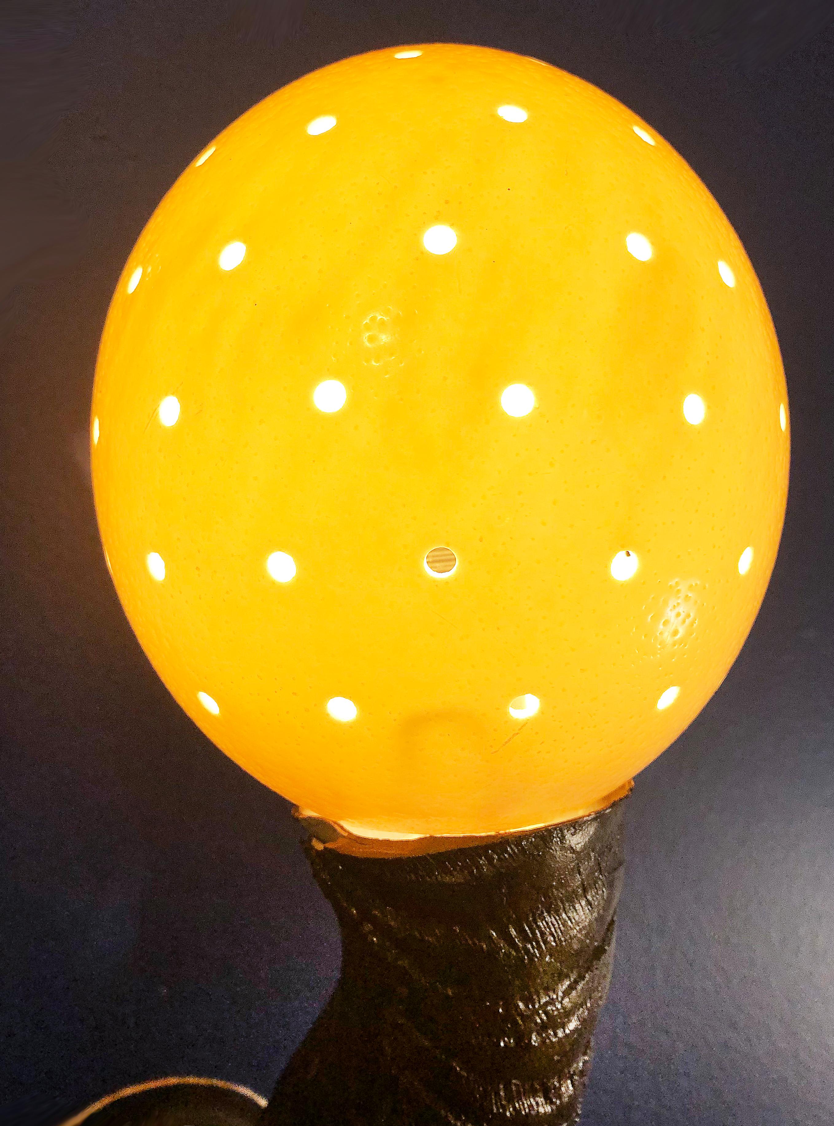 Greater Kudu Horn and Ostrich Egg Shell Sconces, a Pair In Good Condition In Miami, FL