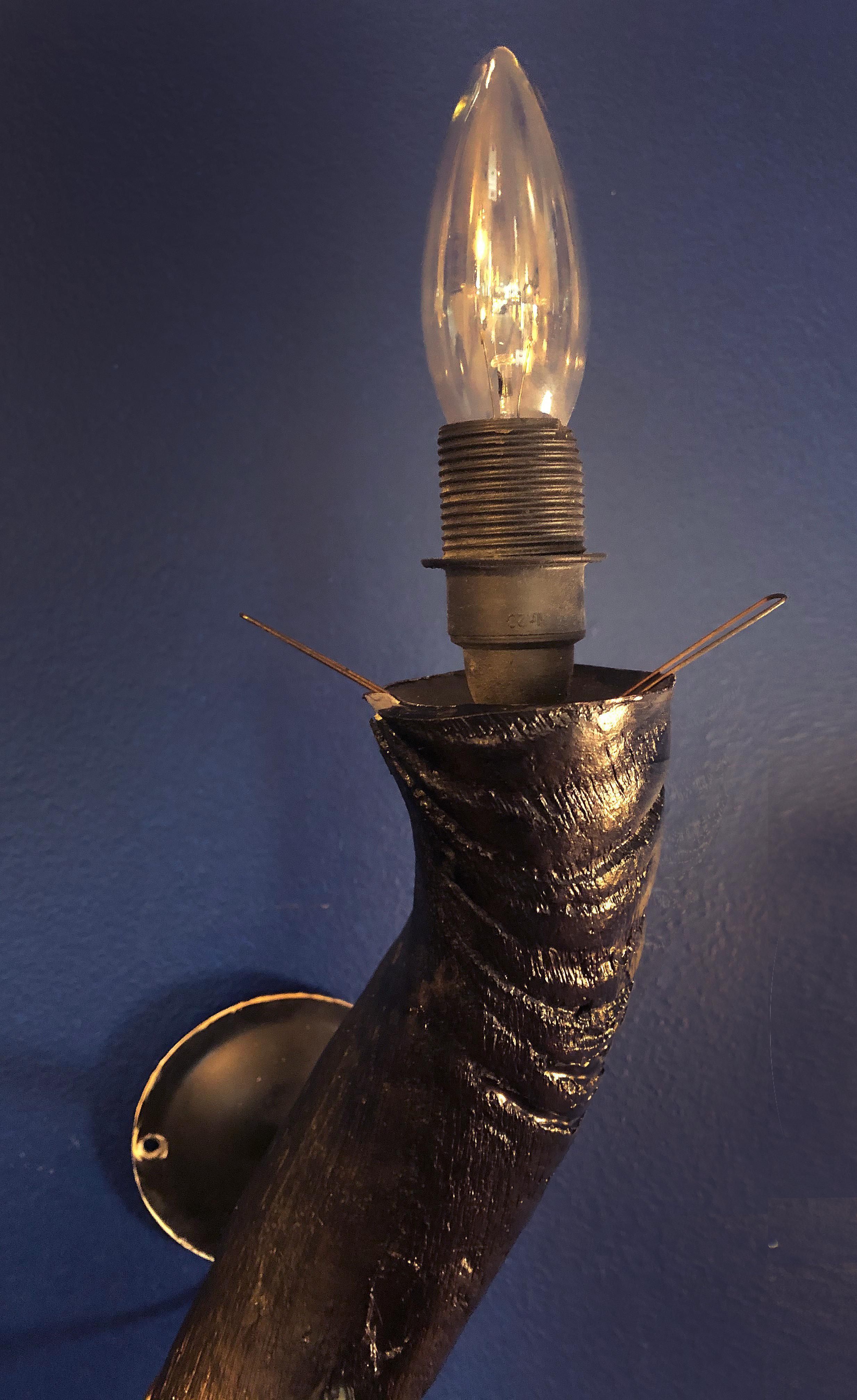 Metal Greater Kudu Horn and Ostrich Egg Shell Sconces, a Pair