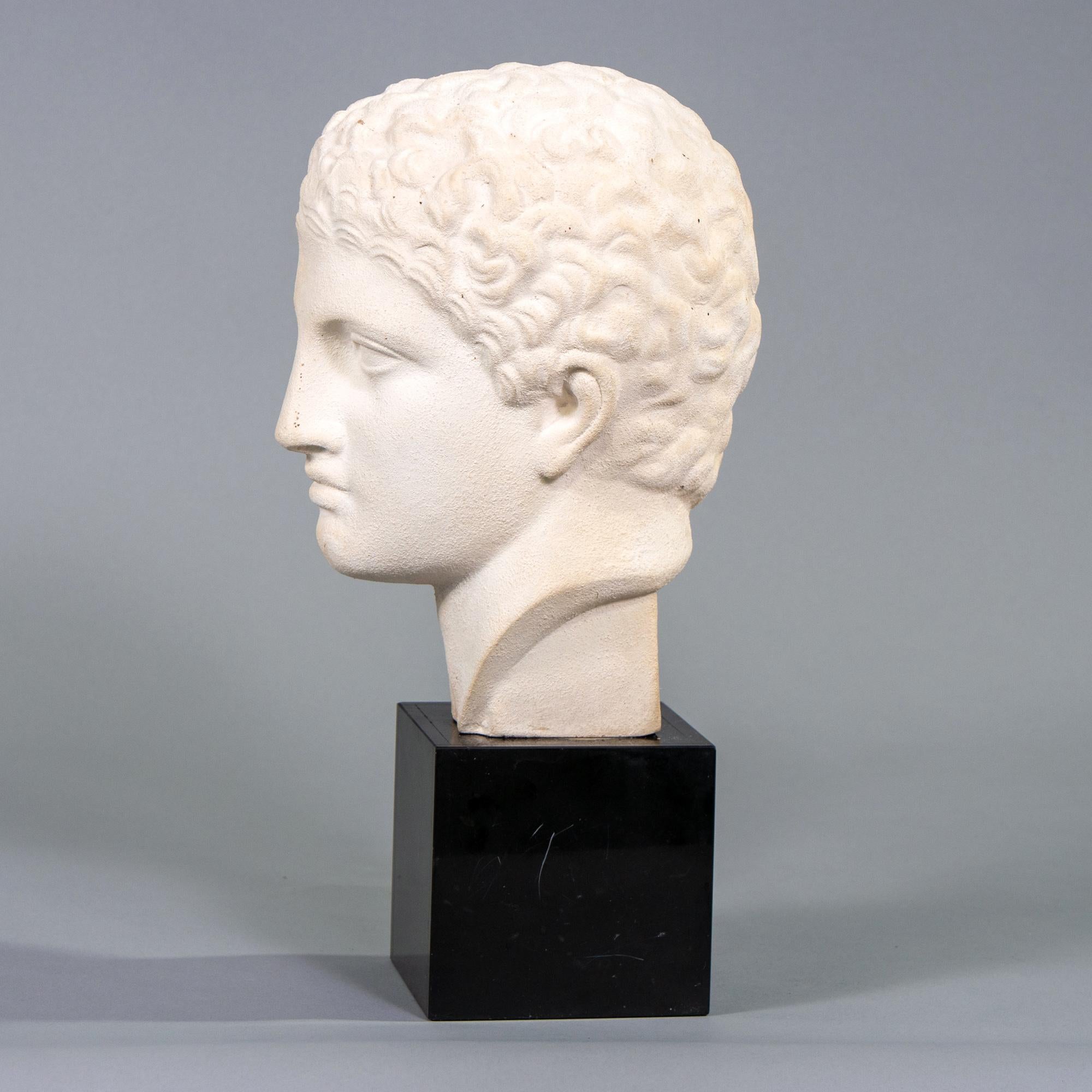 Grecian Style Plaster Bust on Marble Base 3