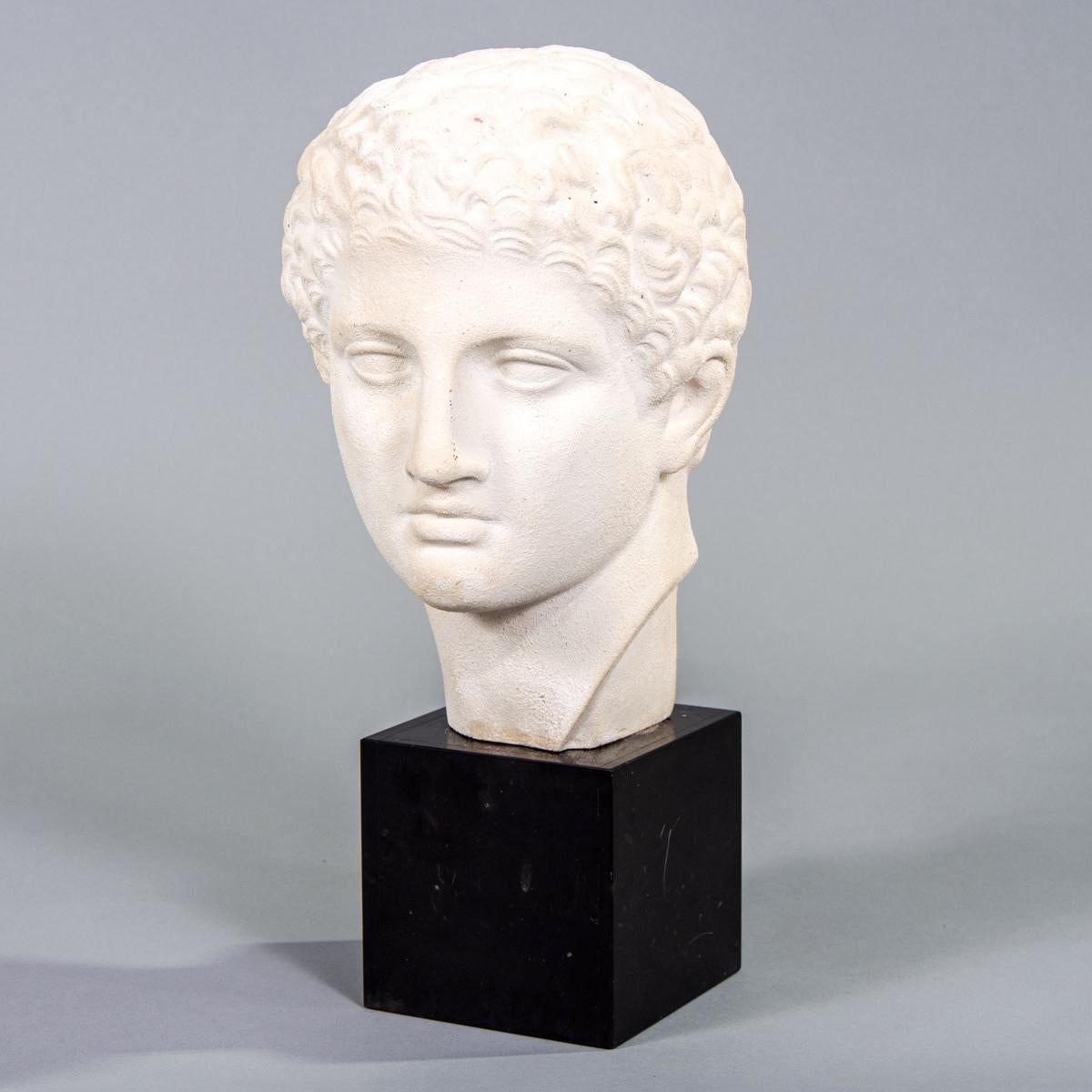 Neoclassical Grecian Style Plaster Bust on Marble Base