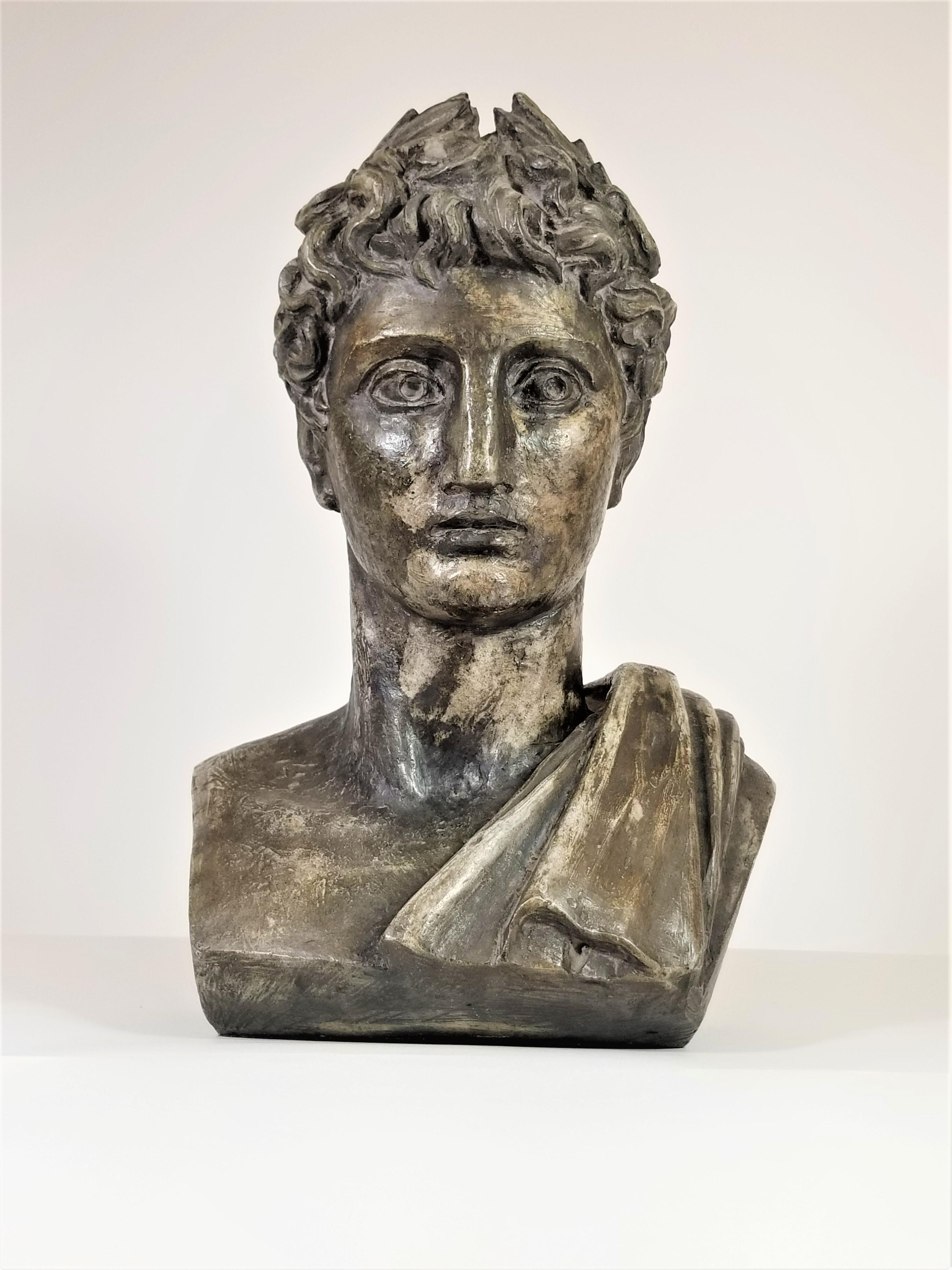 Plaster Greek Bust Sculpture Mid Century  For Sale