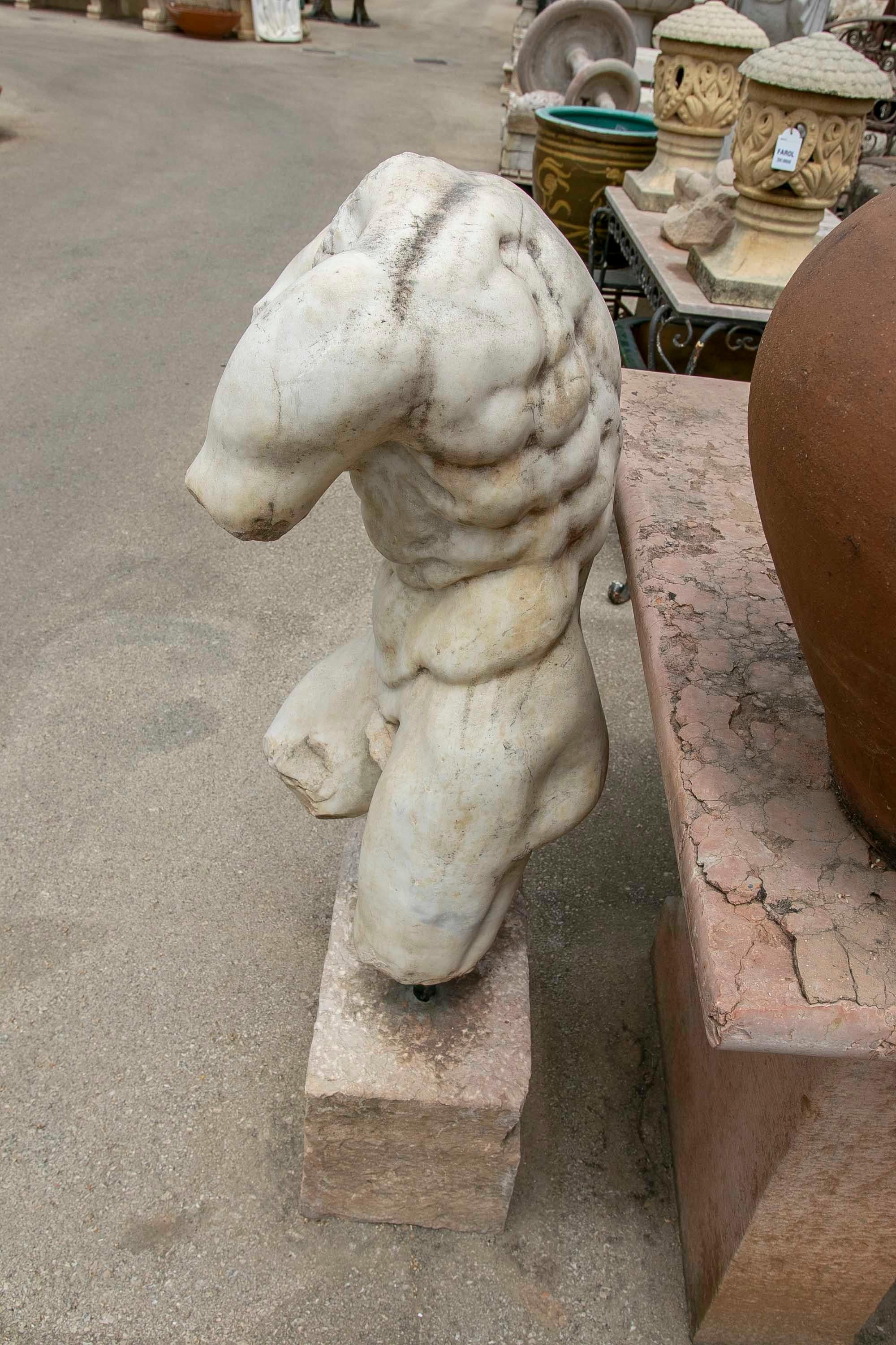 Greek Style Very Realistic Hand-Carved Torso of a Man on a Pedestal  5