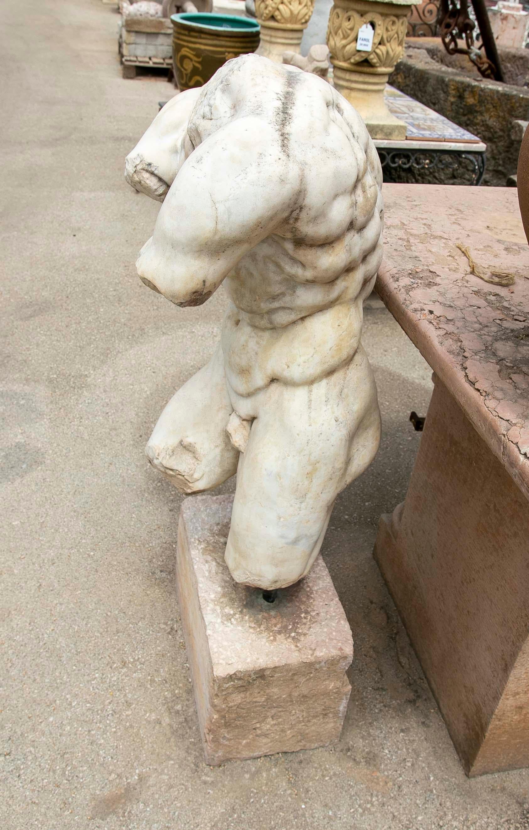 Greek Style Very Realistic Hand-Carved Torso of a Man on a Pedestal  4
