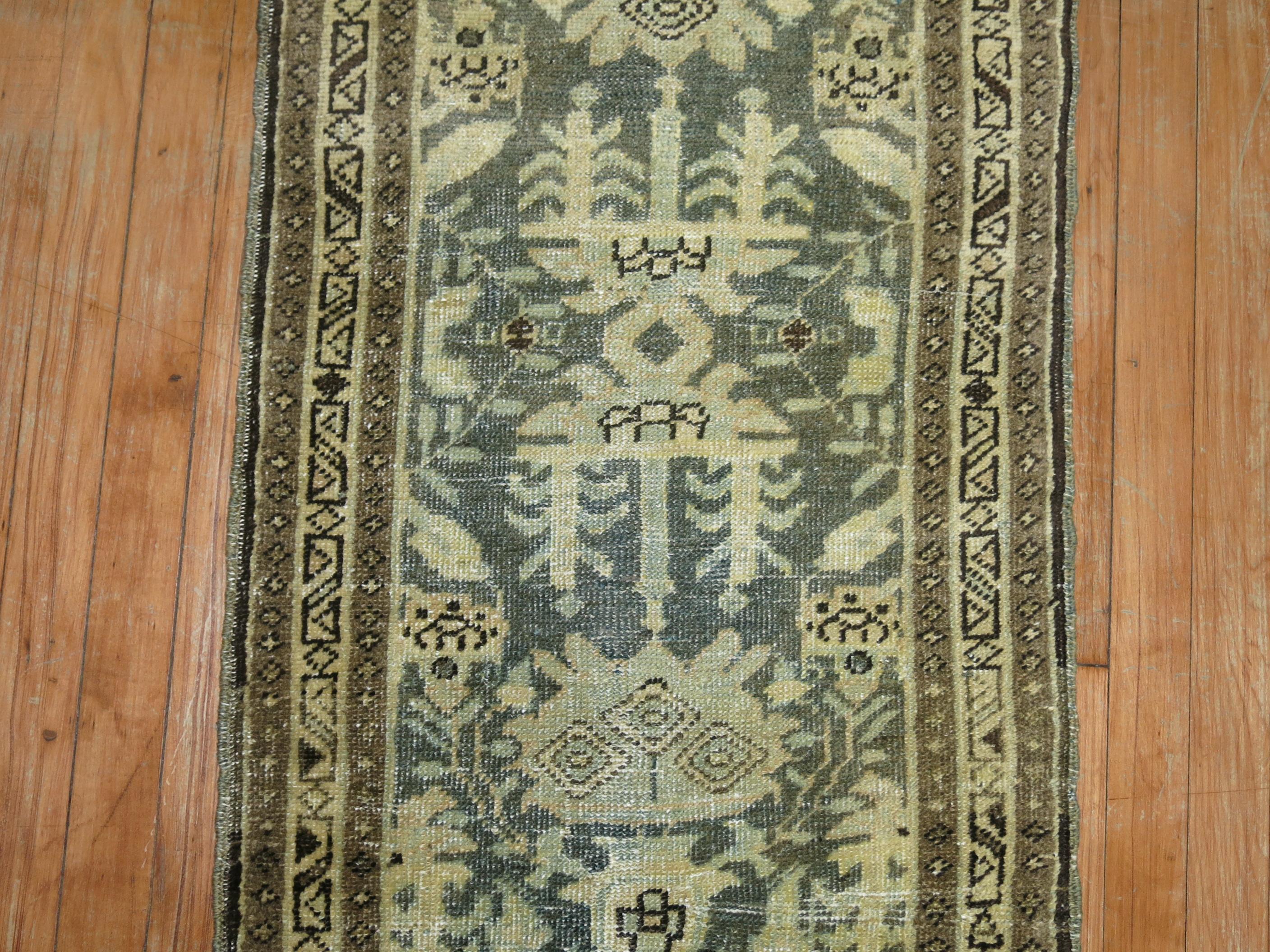 Hand-Woven Green and Brown Narrow Persian Runner For Sale