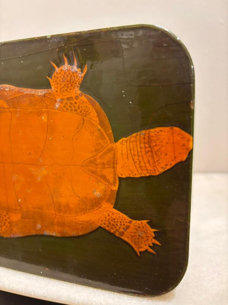 Scatola per tartarughe a decoupage in lacca verde e oro con interno in finto guscio di tartaruga in vendita 8