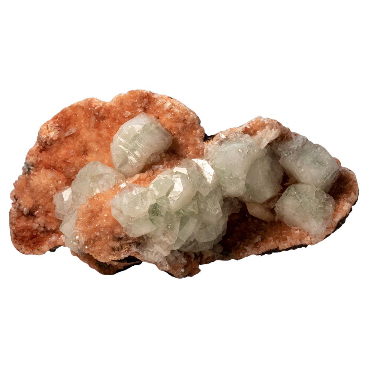 Green Apophylite and Stilbite from Pune District, Maharashtra, India For Sale