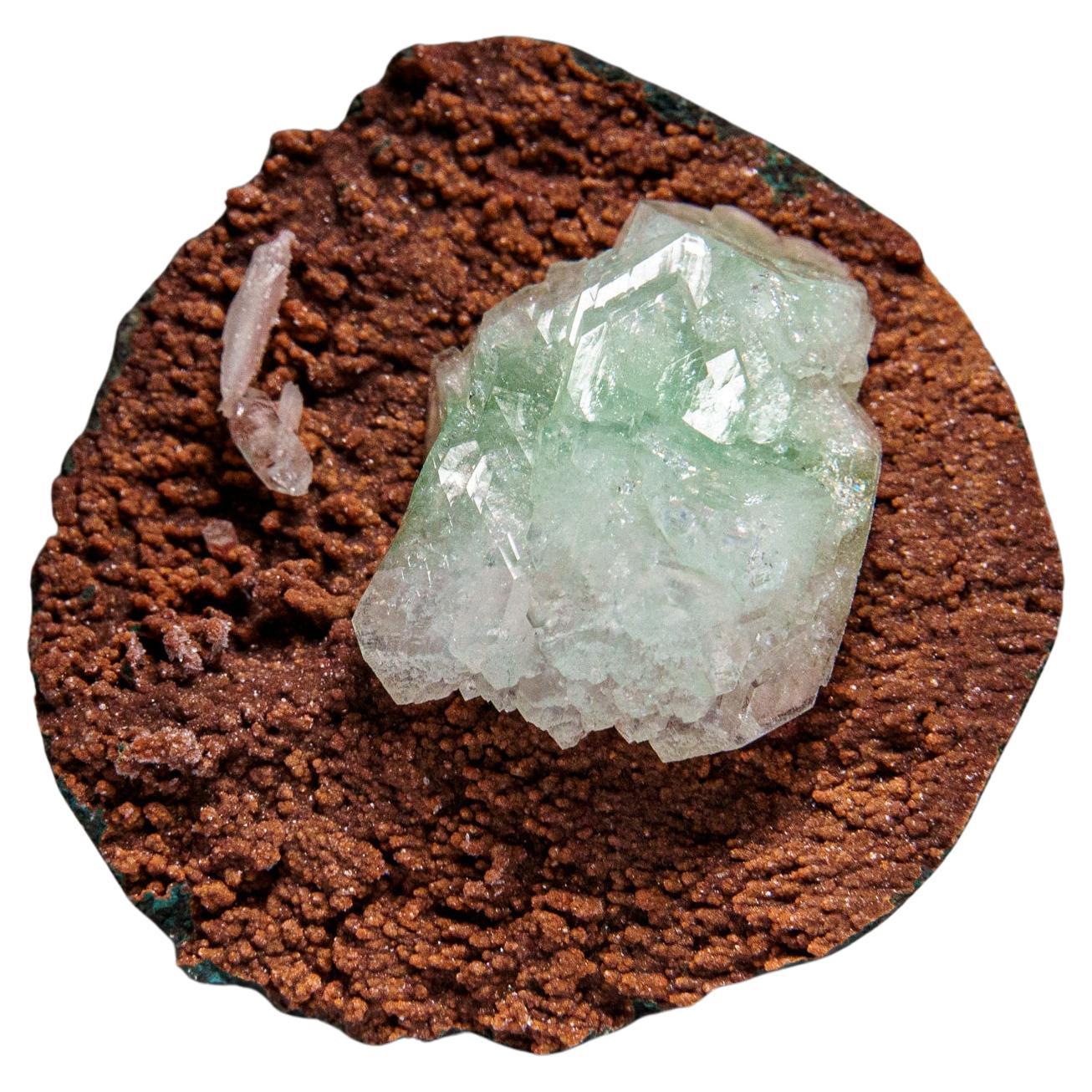 Greene & Greene sur Matrix Druzy de l'Inde en vente