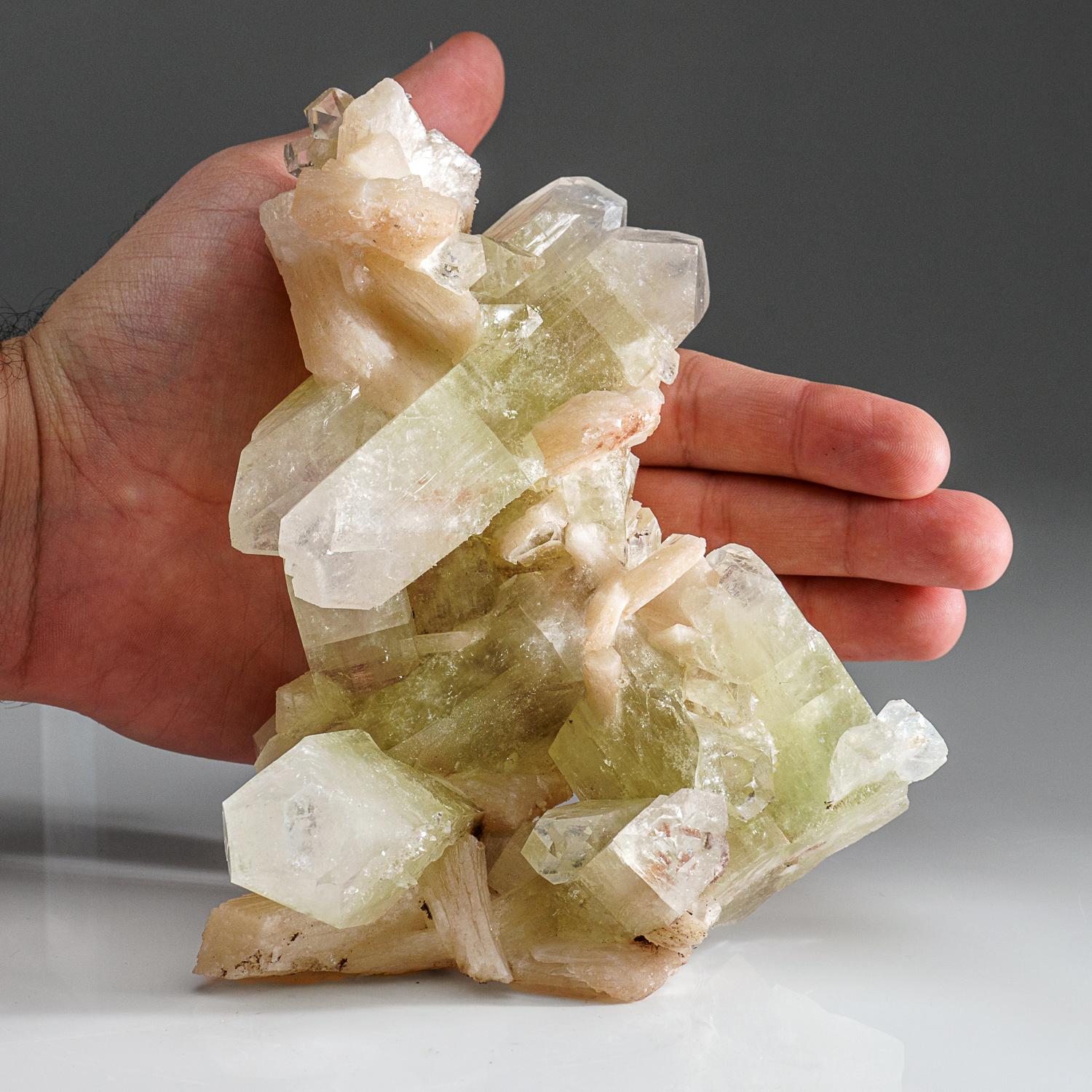 From Jalgaon, Aurangabad District, Maharastra, India

Very aesthetic, Lustrous transparent bi-colored apophyllite crystals with translucent pink stilbite crystals. The apophyllite crystals have green middle zones and colorless pyramidal