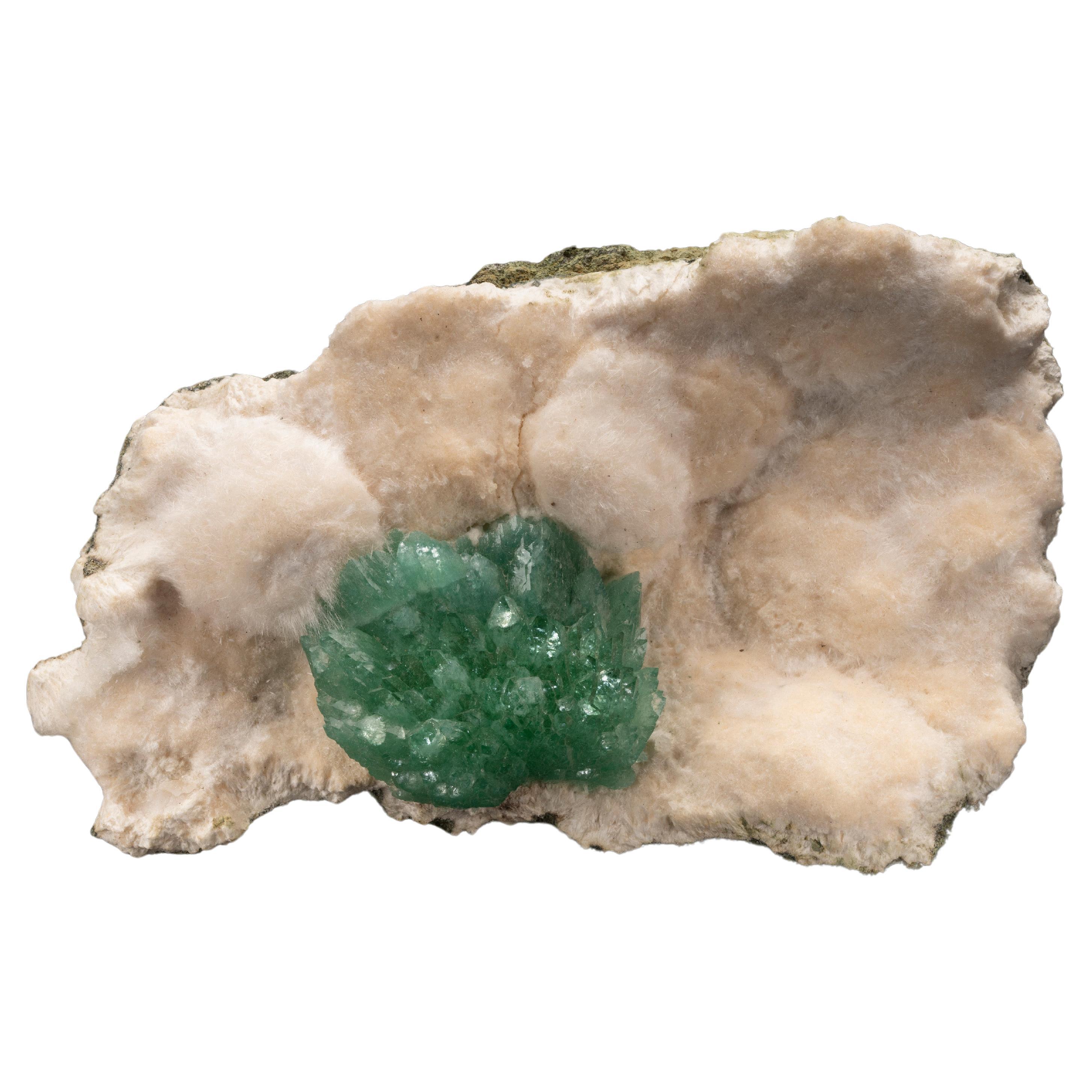 Green Apophyllite on Okenite For Sale