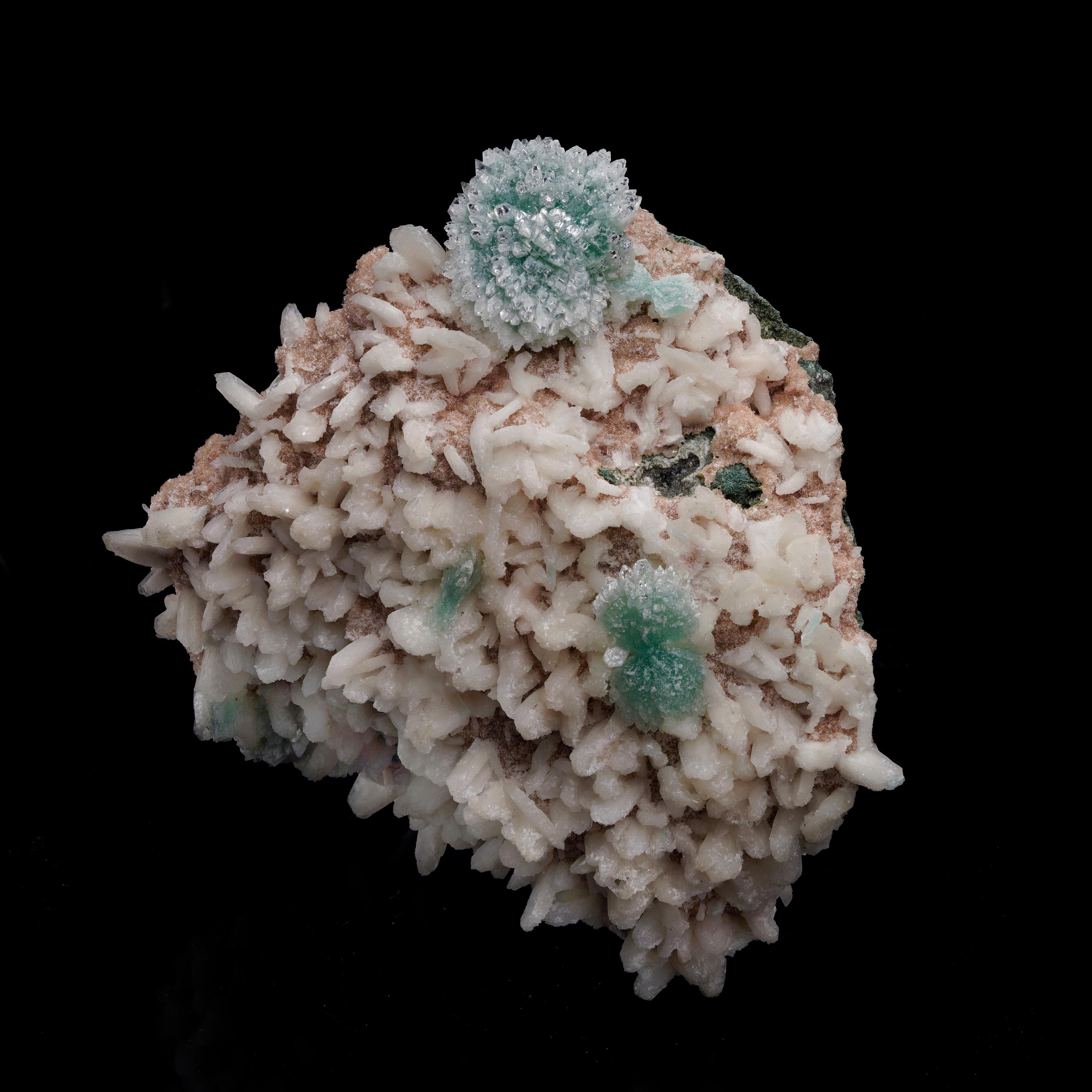 Ce spécimen de taille moyenne d'Apophyllite verte sur Stilbite provenant de l'Inde présente de délicats cristaux d'Apophyllite vert menthe perchés sur un lit de Stilbite coquille d'œuf-pêche. Une grappe florale rayonnante d'apophyllite verte est