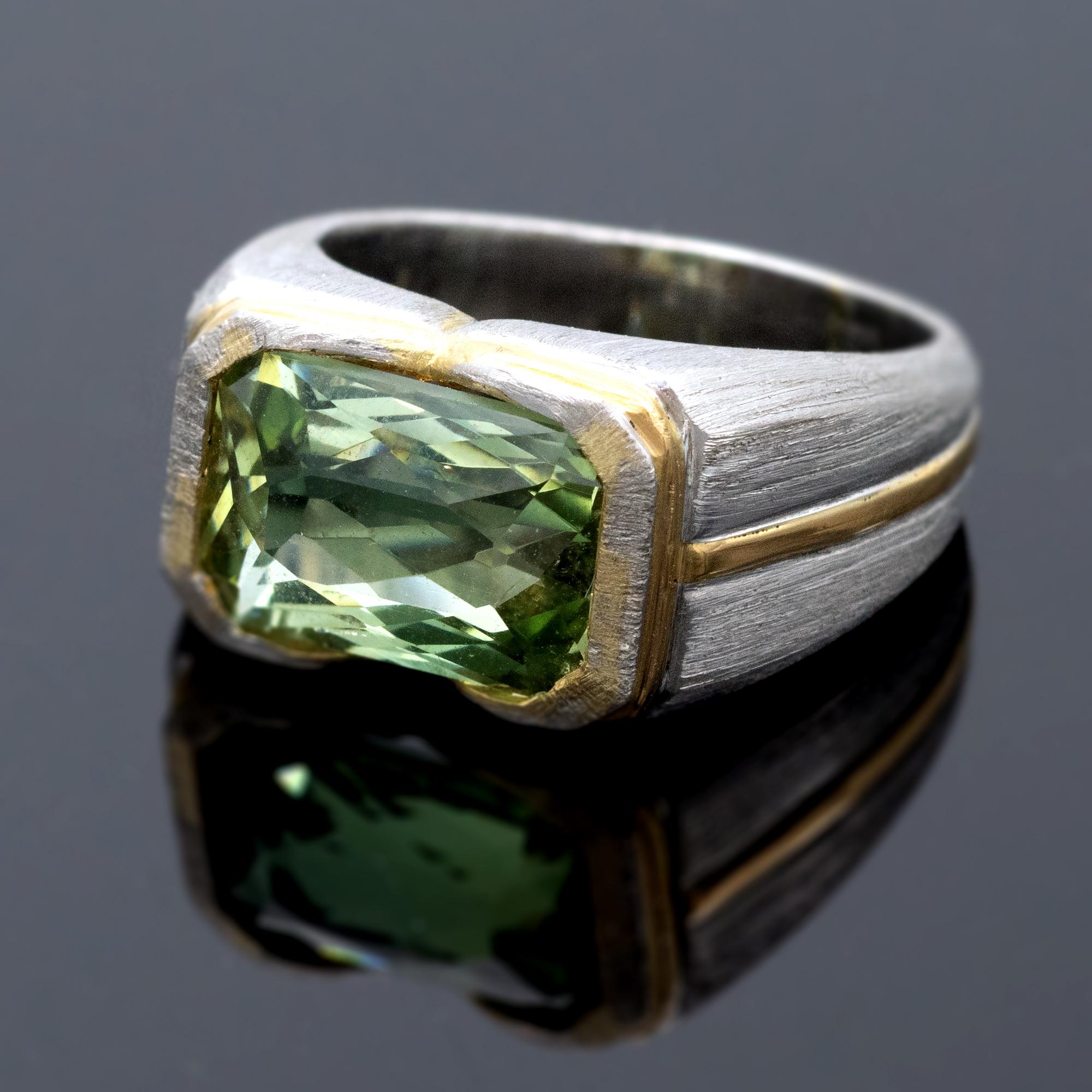 A green beryl gemstone set in a platinum ring with a satin finish. A band of 18 kt yellow gold add a touch of elegance to the minimalist design of this ring.
Beryl: 5,67 carat
Size : 51 EU - 5 3/4 US ; re-sizing is free of charge.