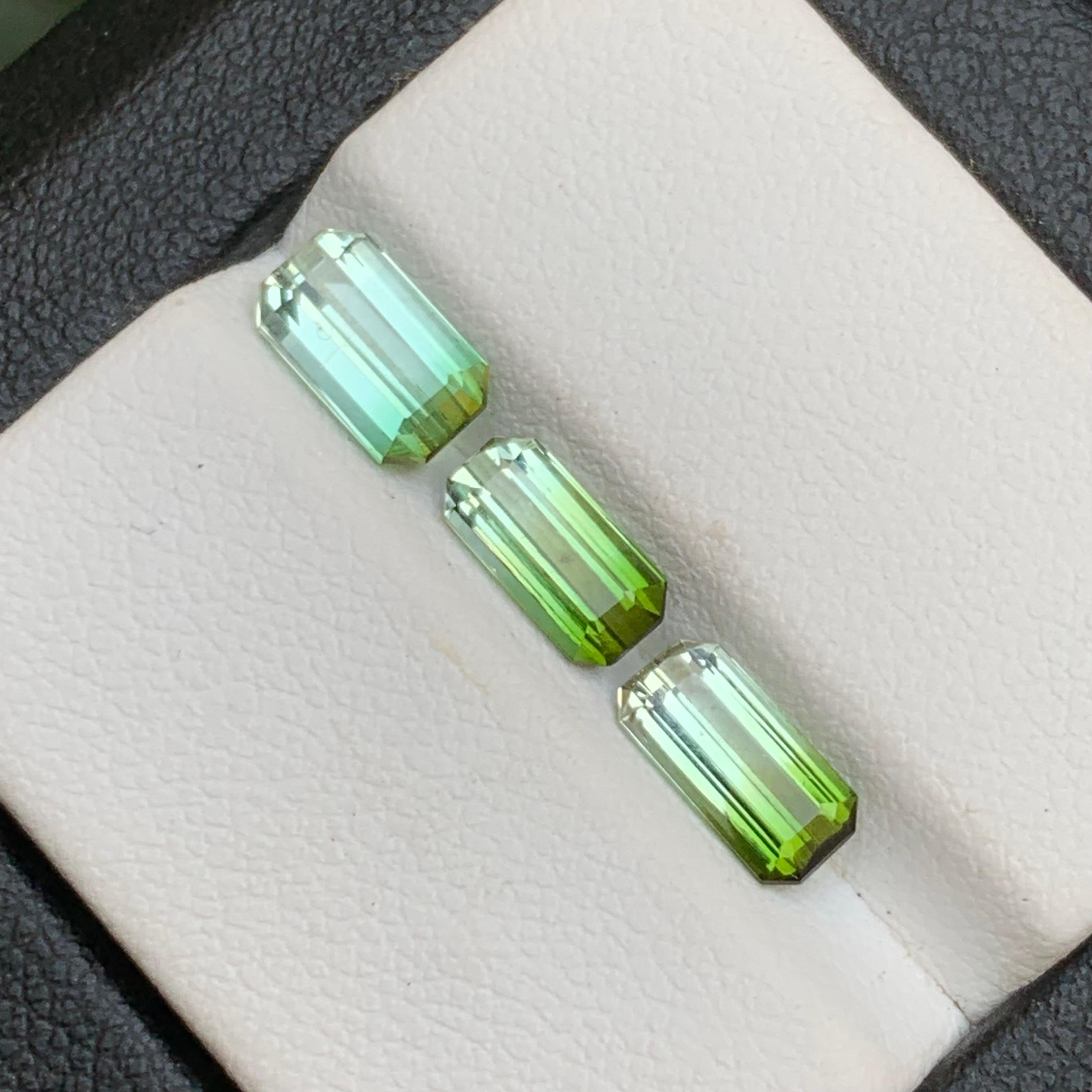 Ensemble de pierres précieuses non serties, tourmaline naturelle verte bicolore taille émeraude 3,30 carats en vente 6