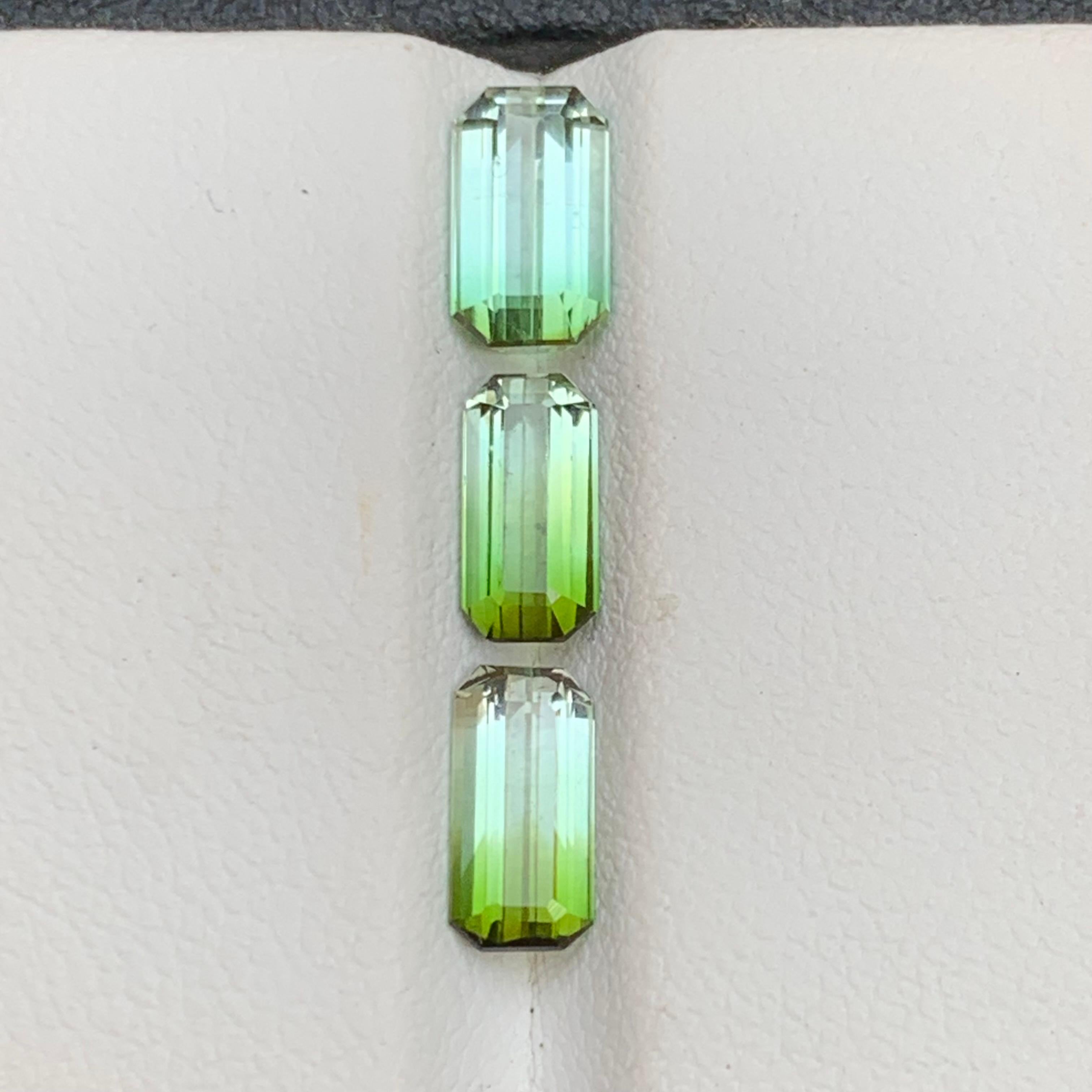 Tourmaline verte bicolore naturelle pierres précieuses en vrac pour bagues, colliers, pendentifs ou tout autre type de bijoux - taille émeraude de la province de Kunar, Afghanistan !

💎 TYPE DE PIERRE PRÉCIEUSE : Tourmaline
⚖️ POIDS :  3,30