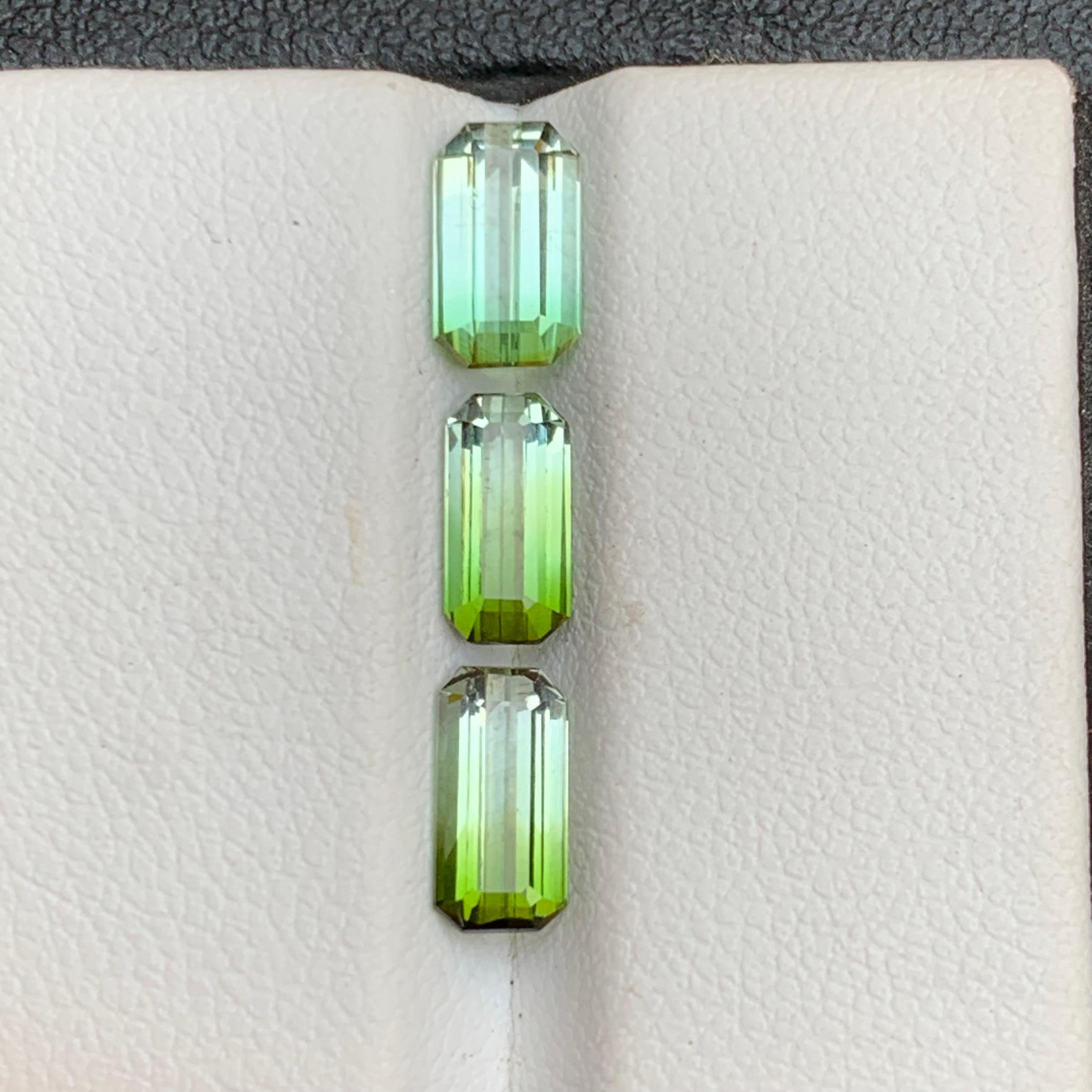 Taille émeraude Ensemble de pierres précieuses non serties, tourmaline naturelle verte bicolore taille émeraude 3,30 carats en vente