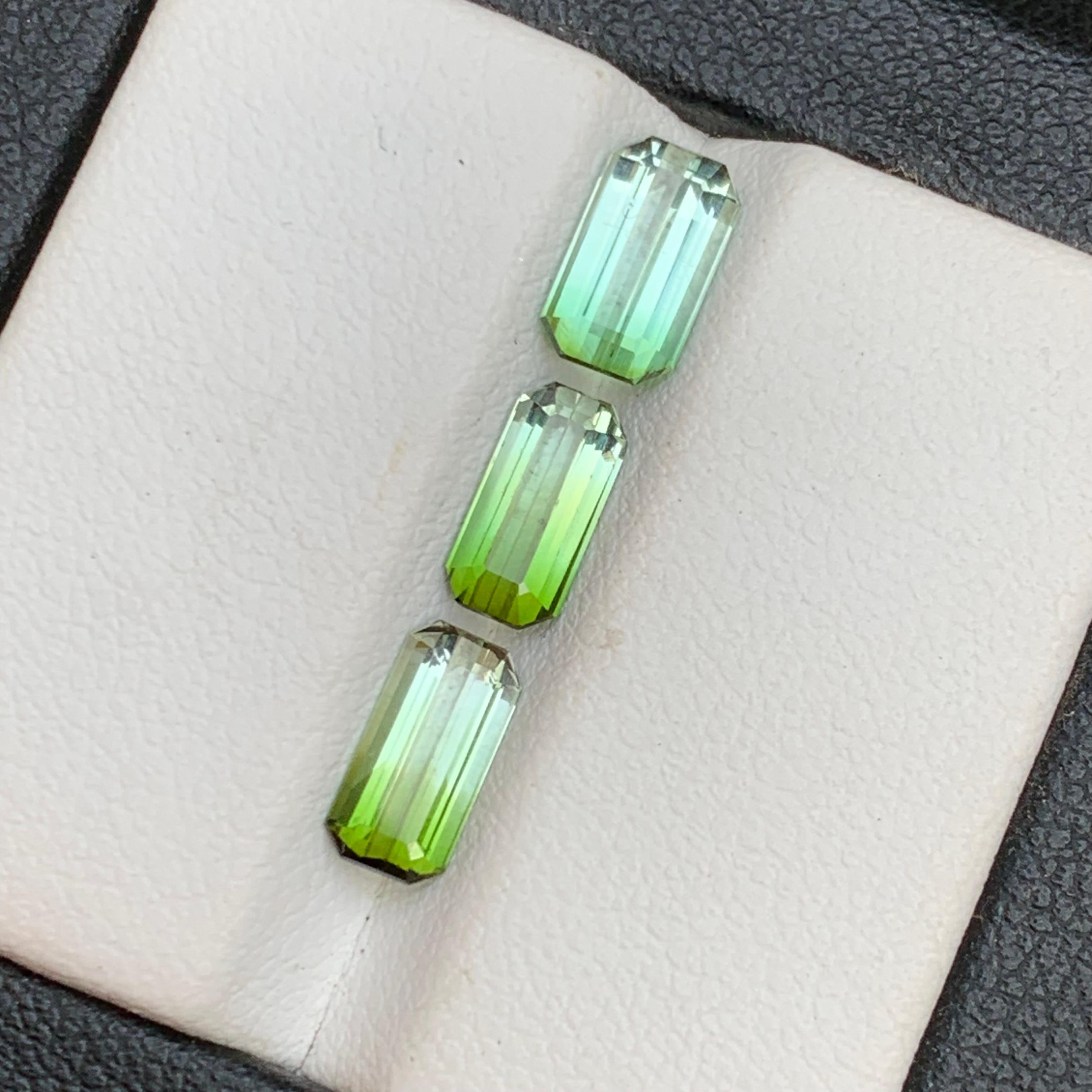 Ensemble de pierres précieuses non serties, tourmaline naturelle verte bicolore taille émeraude 3,30 carats Unisexe en vente
