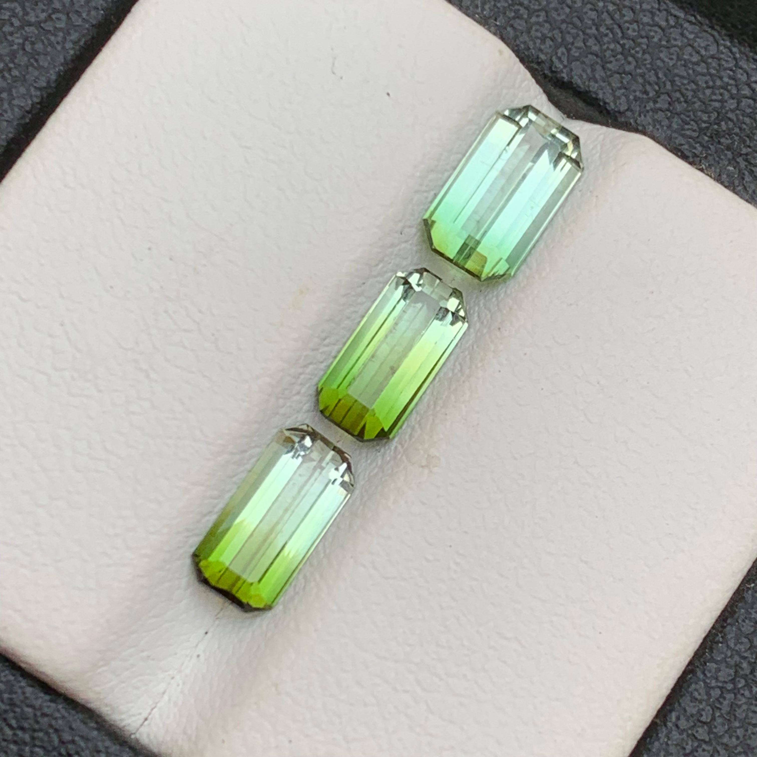 Ensemble de pierres précieuses non serties, tourmaline naturelle verte bicolore taille émeraude 3,30 carats en vente 2
