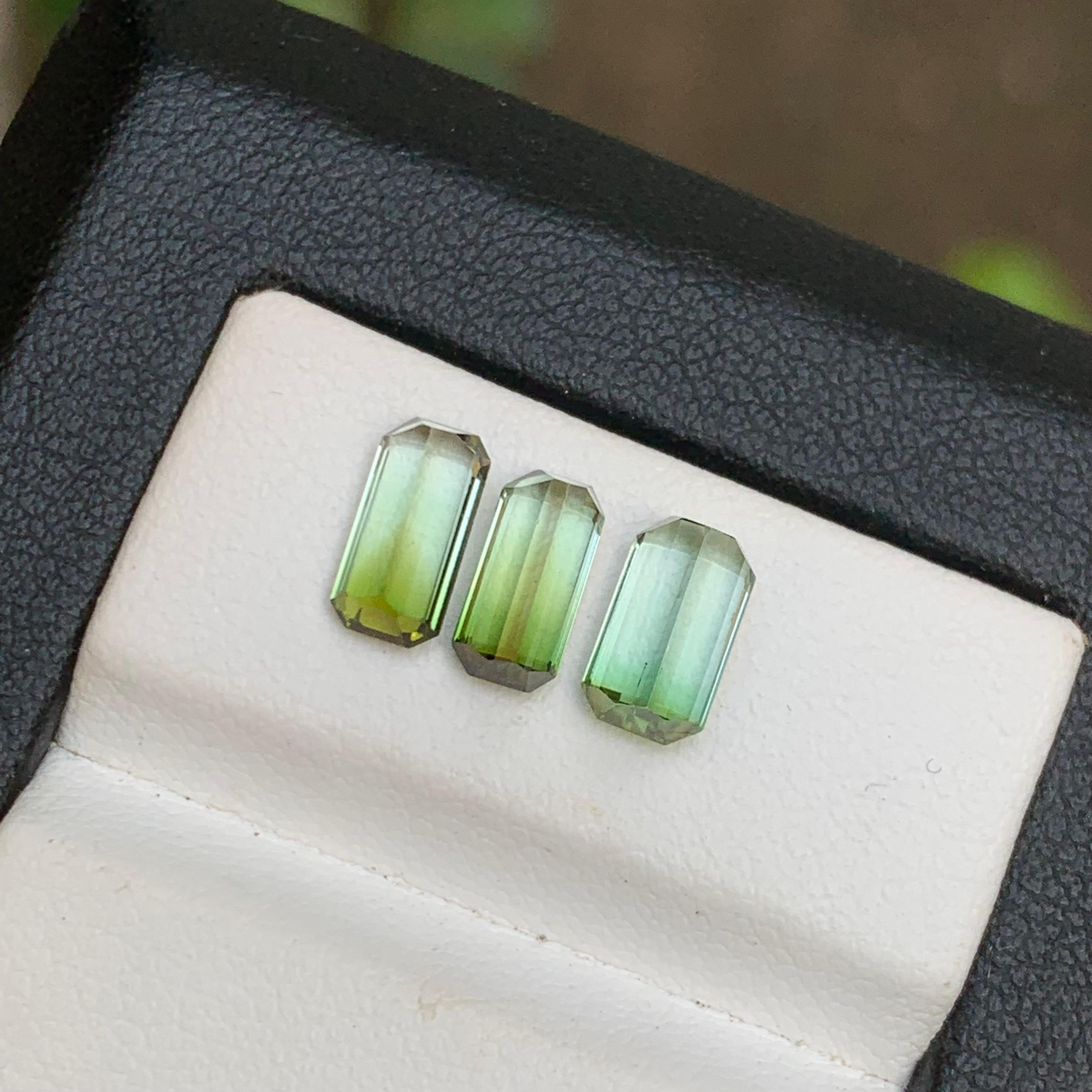 Ensemble de pierres précieuses non serties, tourmaline naturelle verte bicolore taille émeraude 3,30 carats en vente 3