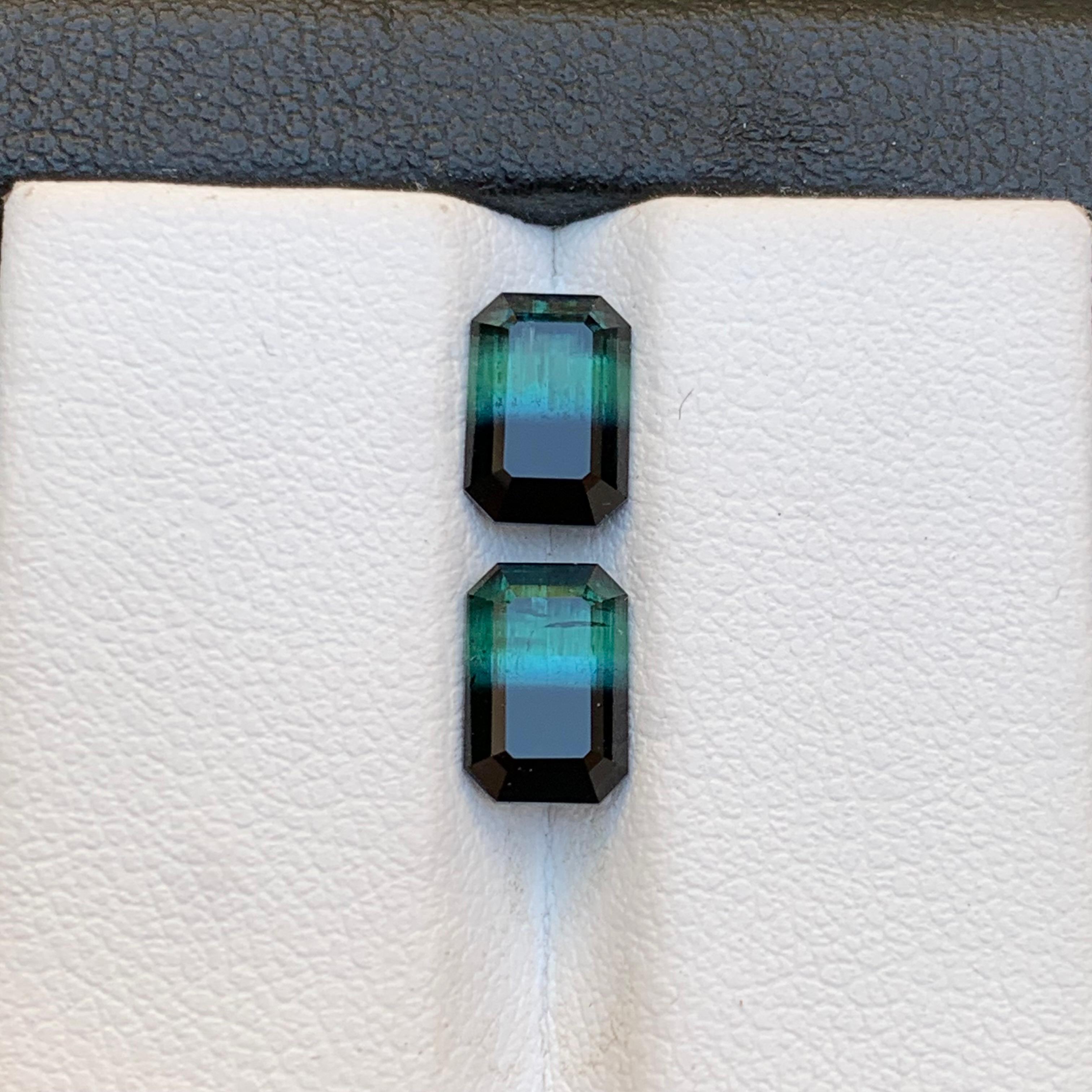 Contemporary Green & Black Bicolor Tourmaline Earrings Gemstones Pair 3.10 Carat Emerald Cut For Sale