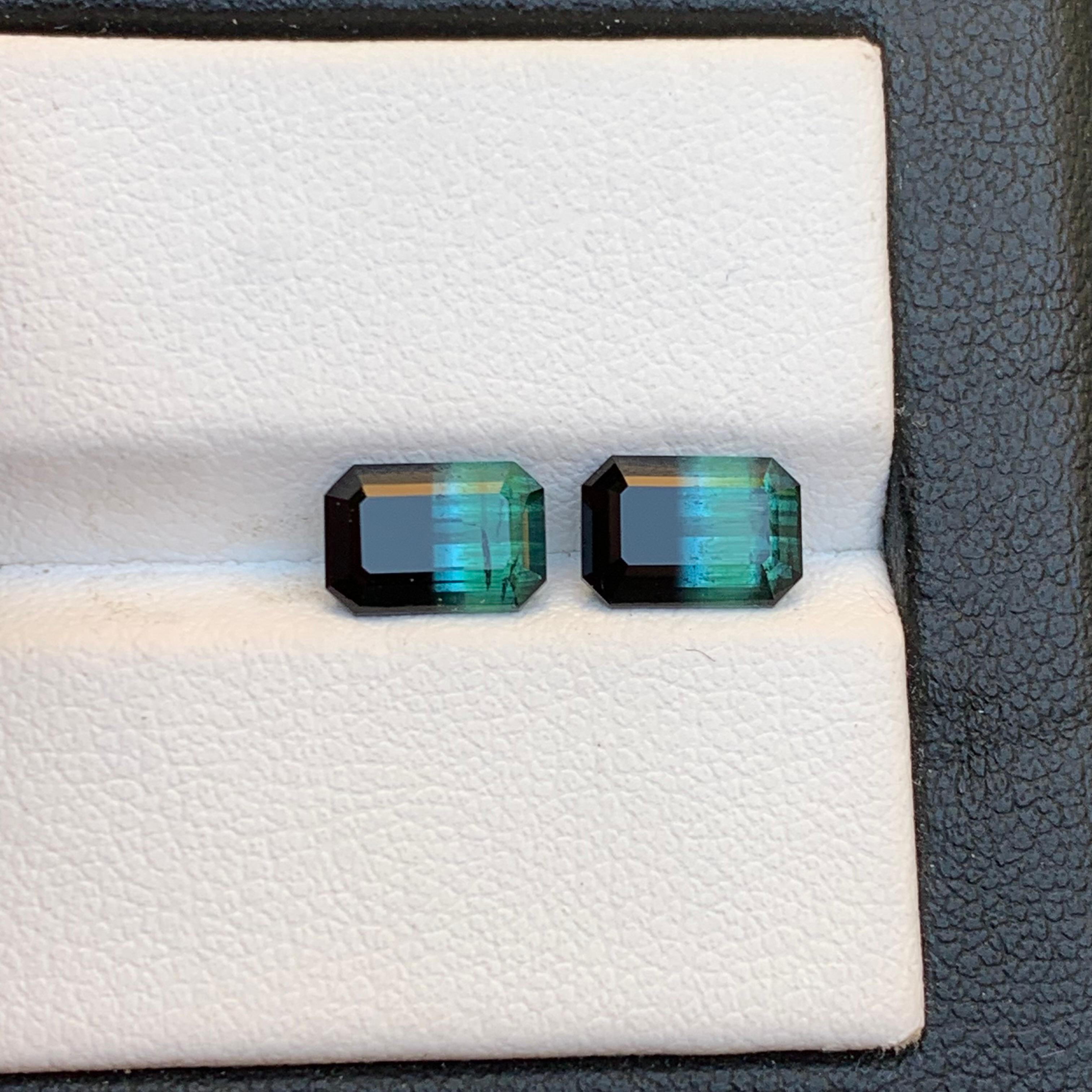 Women's or Men's Green & Black Bicolor Tourmaline Earrings Gemstones Pair 3.10 Carat Emerald Cut For Sale