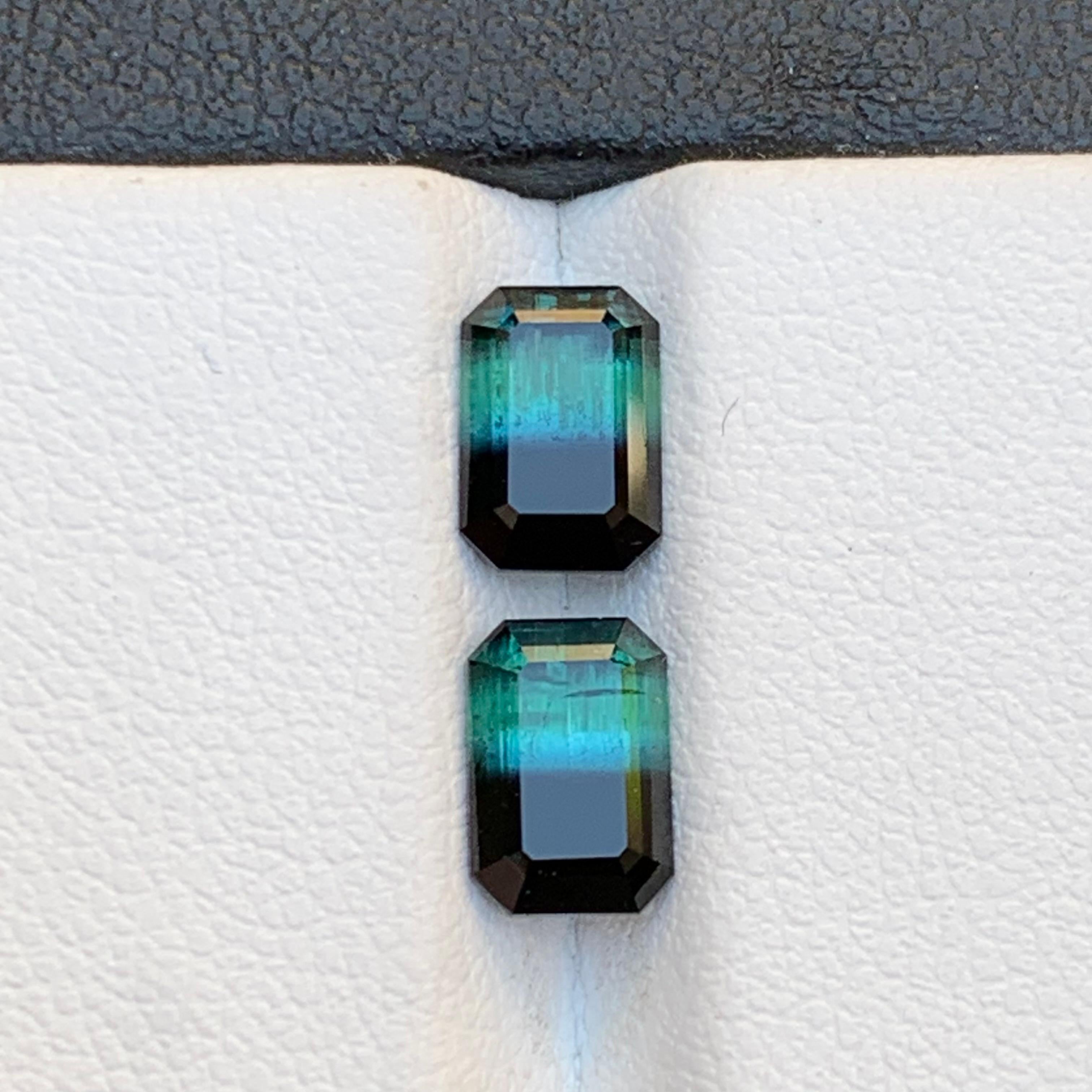 Green & Black Bicolor Tourmaline Earrings Gemstones Pair 3.10 Carat Emerald Cut For Sale 1