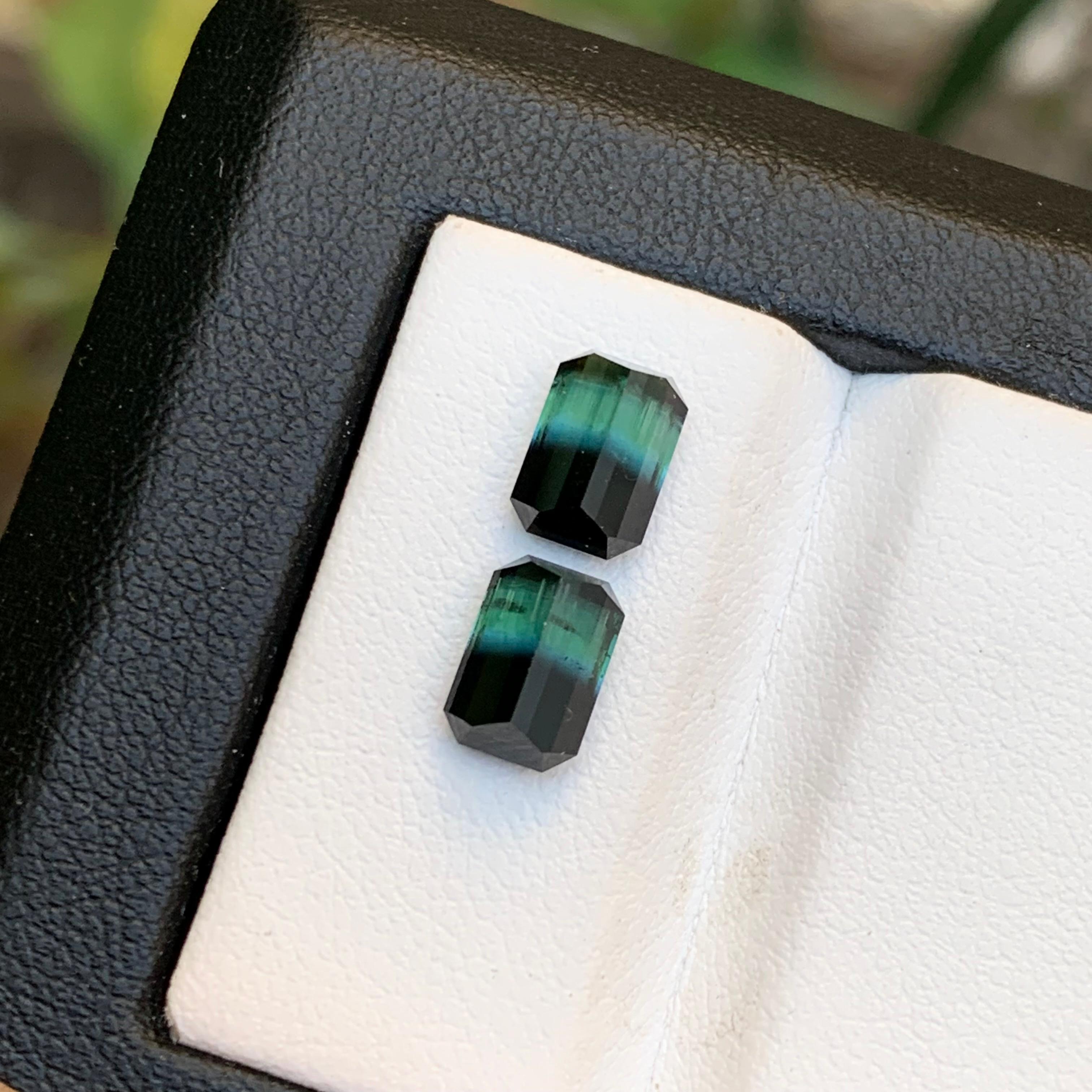 Green & Black Bicolor Tourmaline Earrings Gemstones Pair 3.10 Carat Emerald Cut For Sale 2