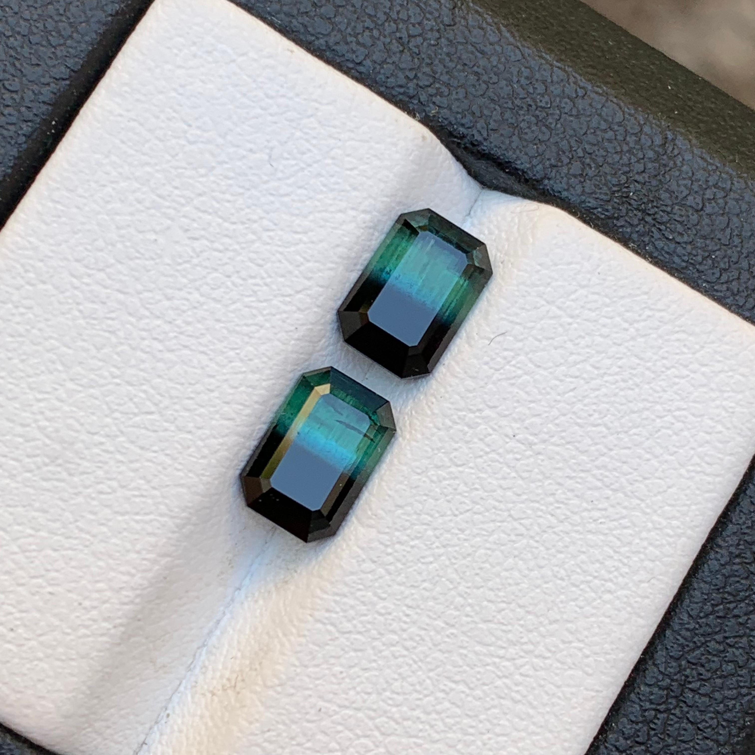 Green & Black Bicolor Tourmaline Earrings Gemstones Pair 3.10 Carat Emerald Cut For Sale 3