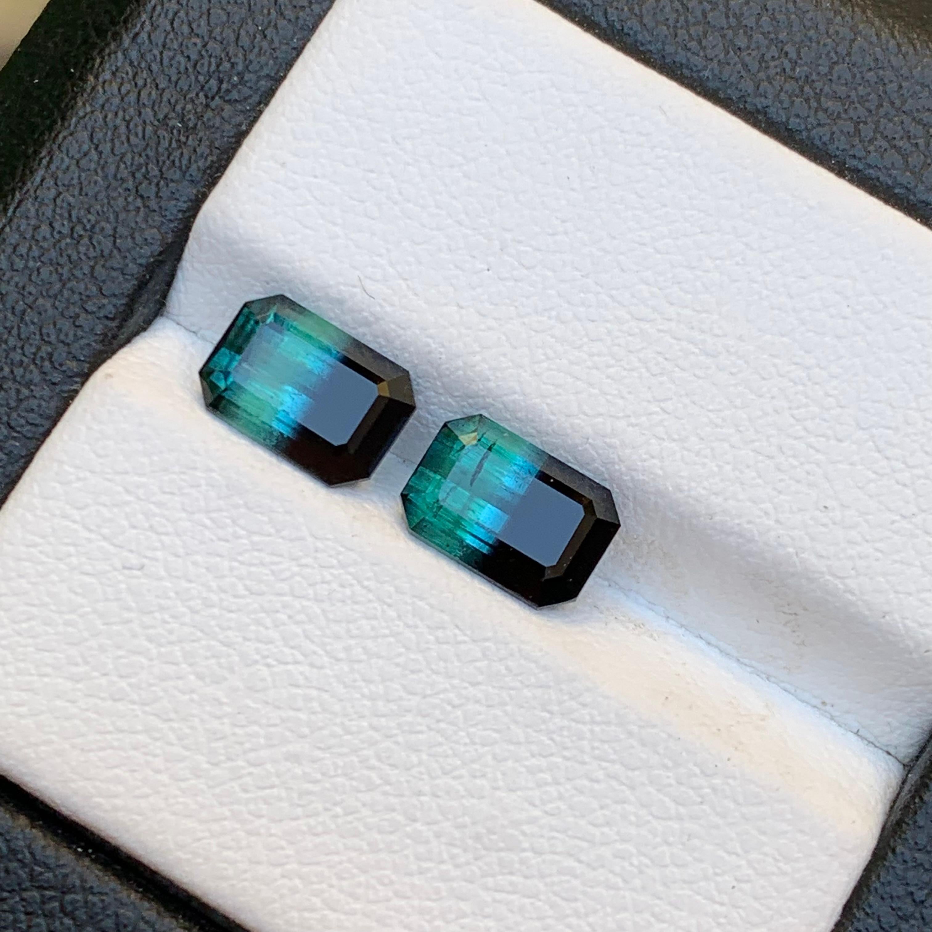 Green & Black Bicolor Tourmaline Earrings Gemstones Pair 3.10 Carat Emerald Cut For Sale 4