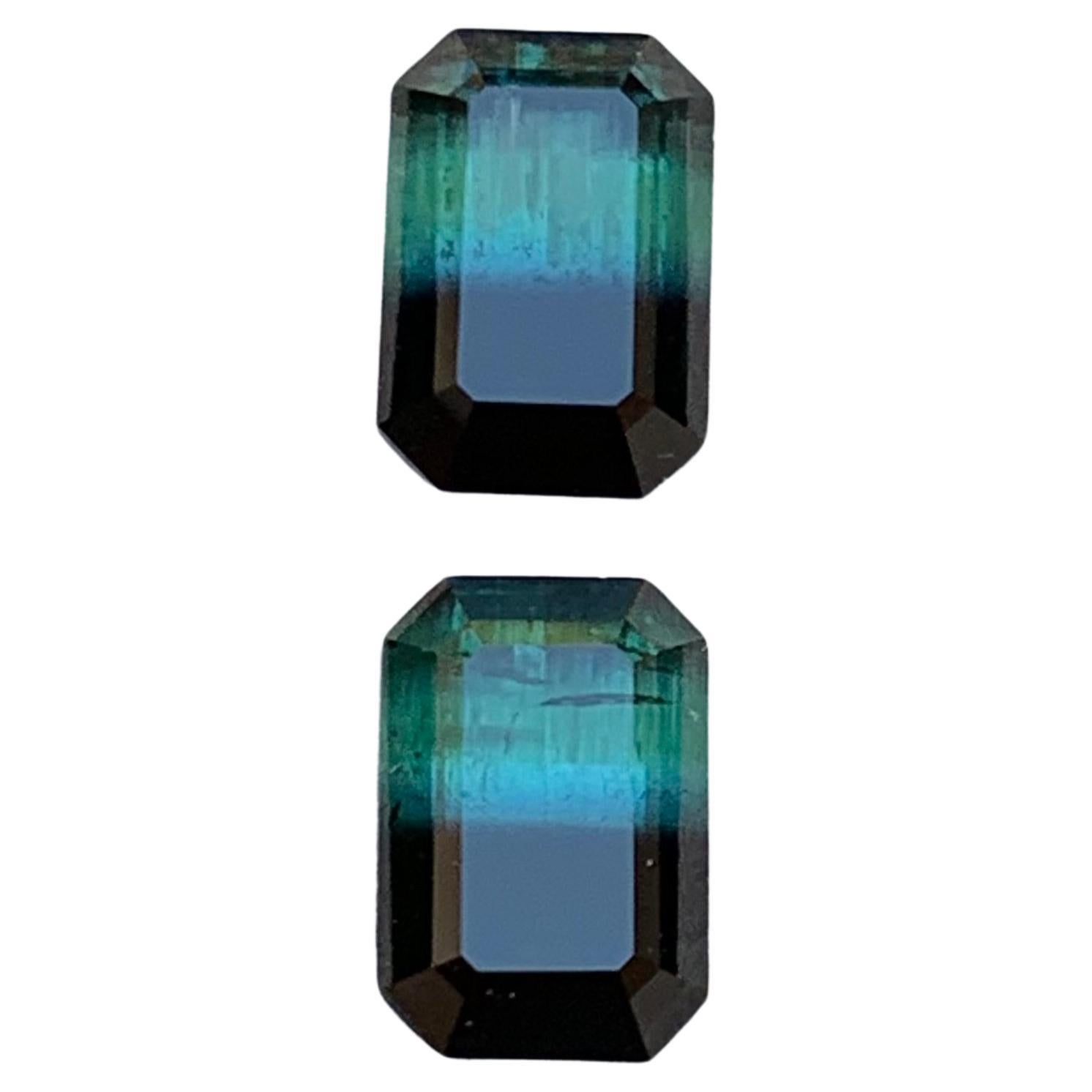 Green & Black Bicolor Tourmaline Earrings Gemstones Pair 3.10 Carat Emerald Cut For Sale