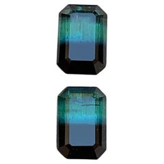 Green & Black Bicolor Tourmaline Earrings Gemstones Pair 3.10 Carat Emerald Cut