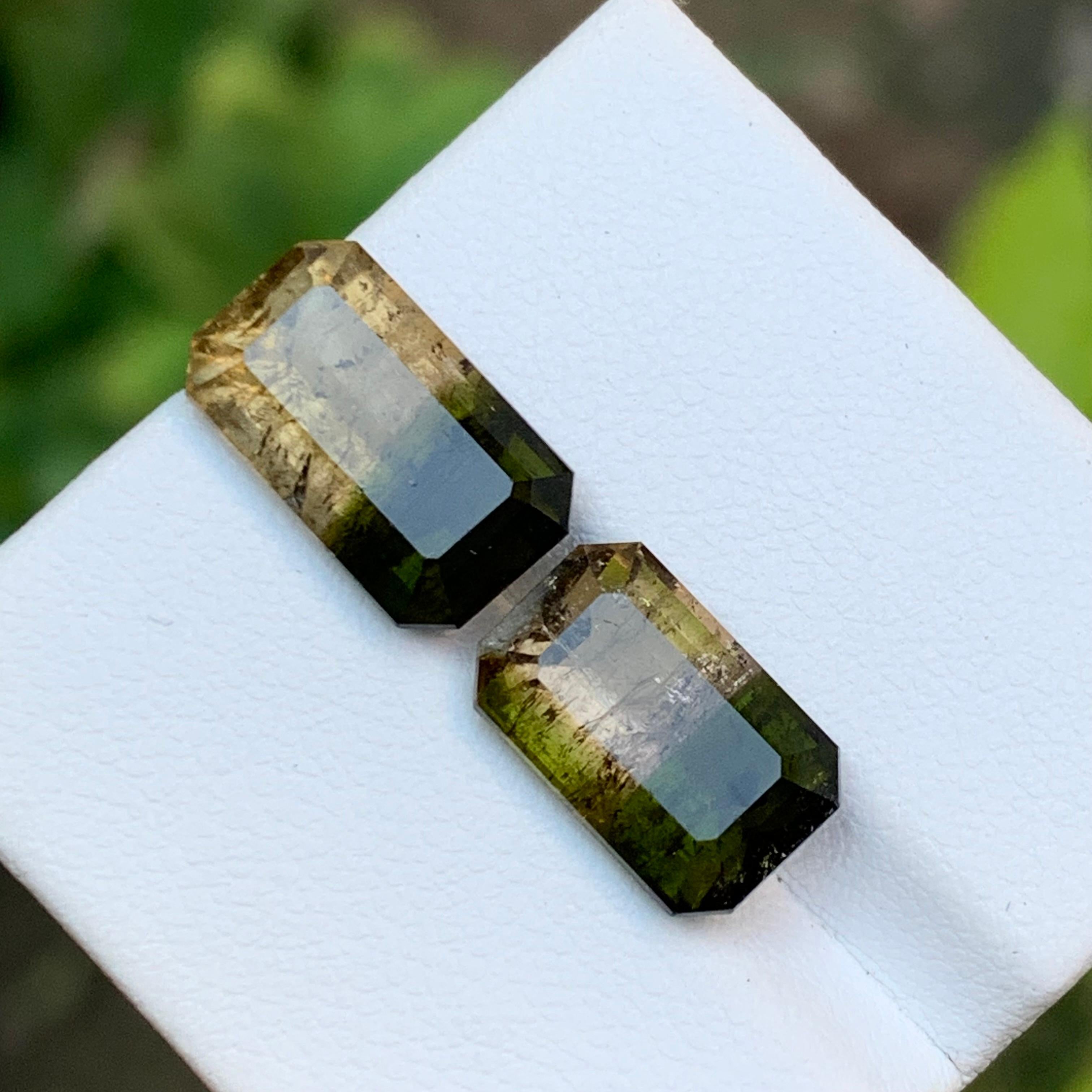 Green & Brownish Yellow Bicolor Tourmaline Gemstones 10 Ct Emerald Cut-Jewel For Sale 7