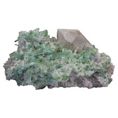 Cristalli di tormalina Greene & Greene su quarzo e lepidolite dall'Afghanistan