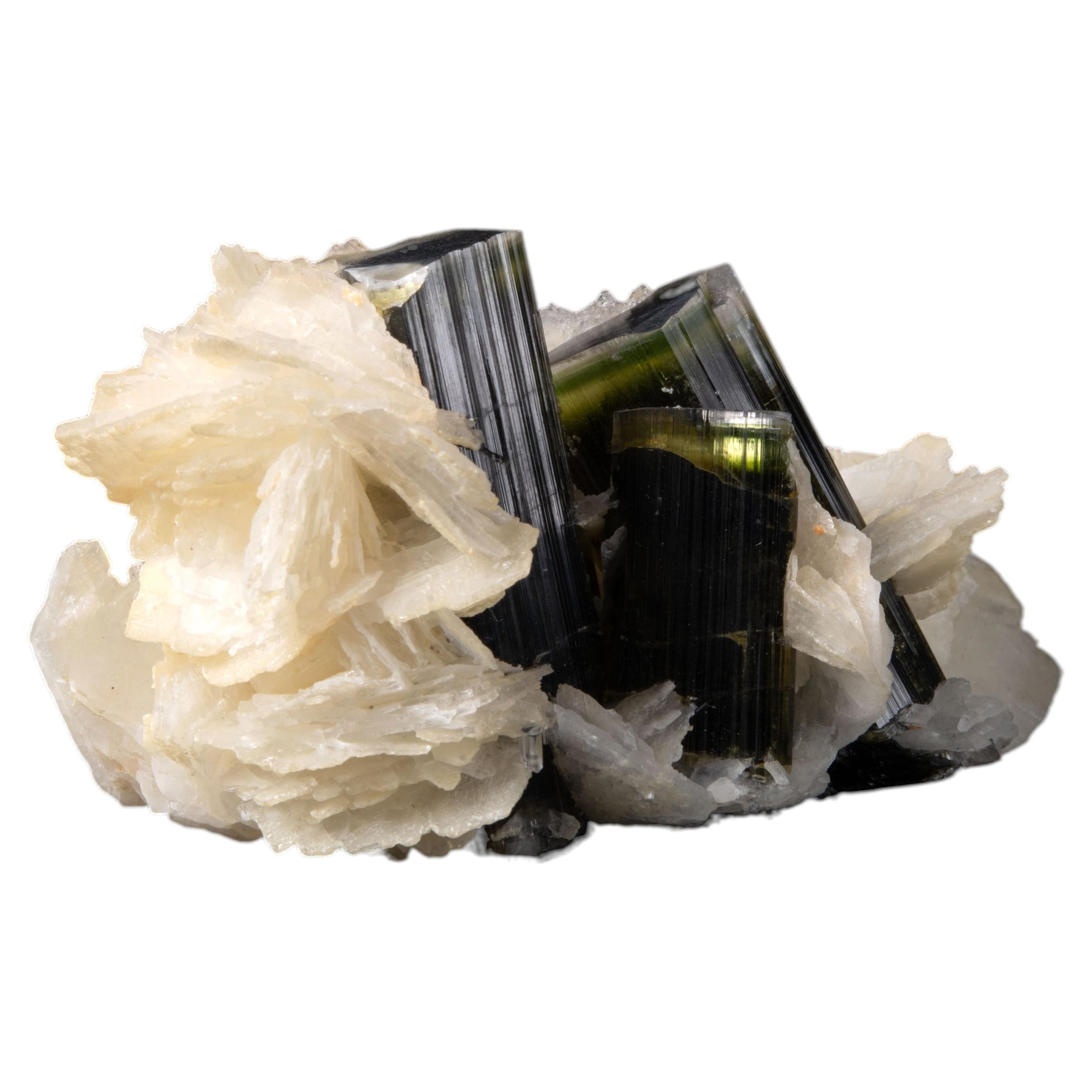 Green Cap Tourmaline on Sparkling White Cleavelandite Matrix