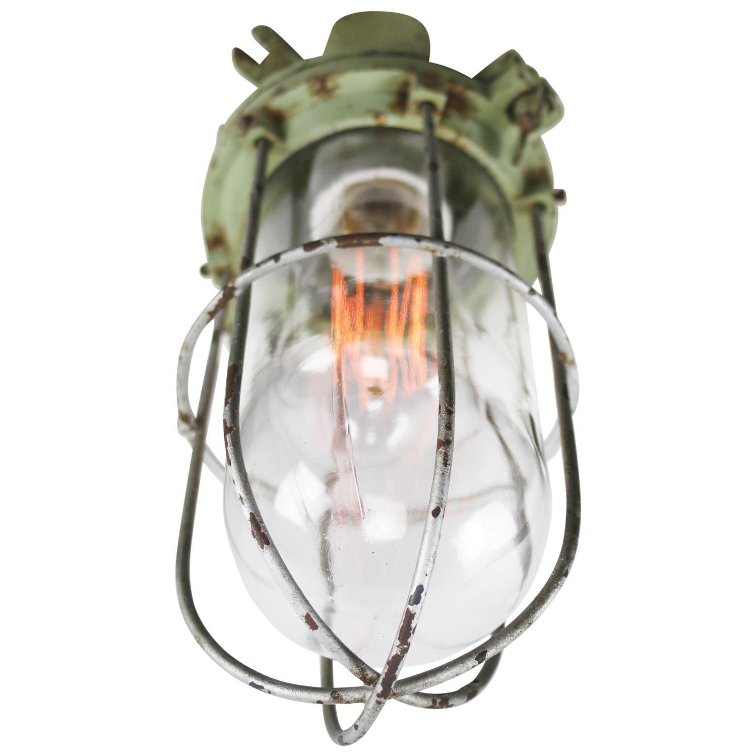 light fixture with protective cage