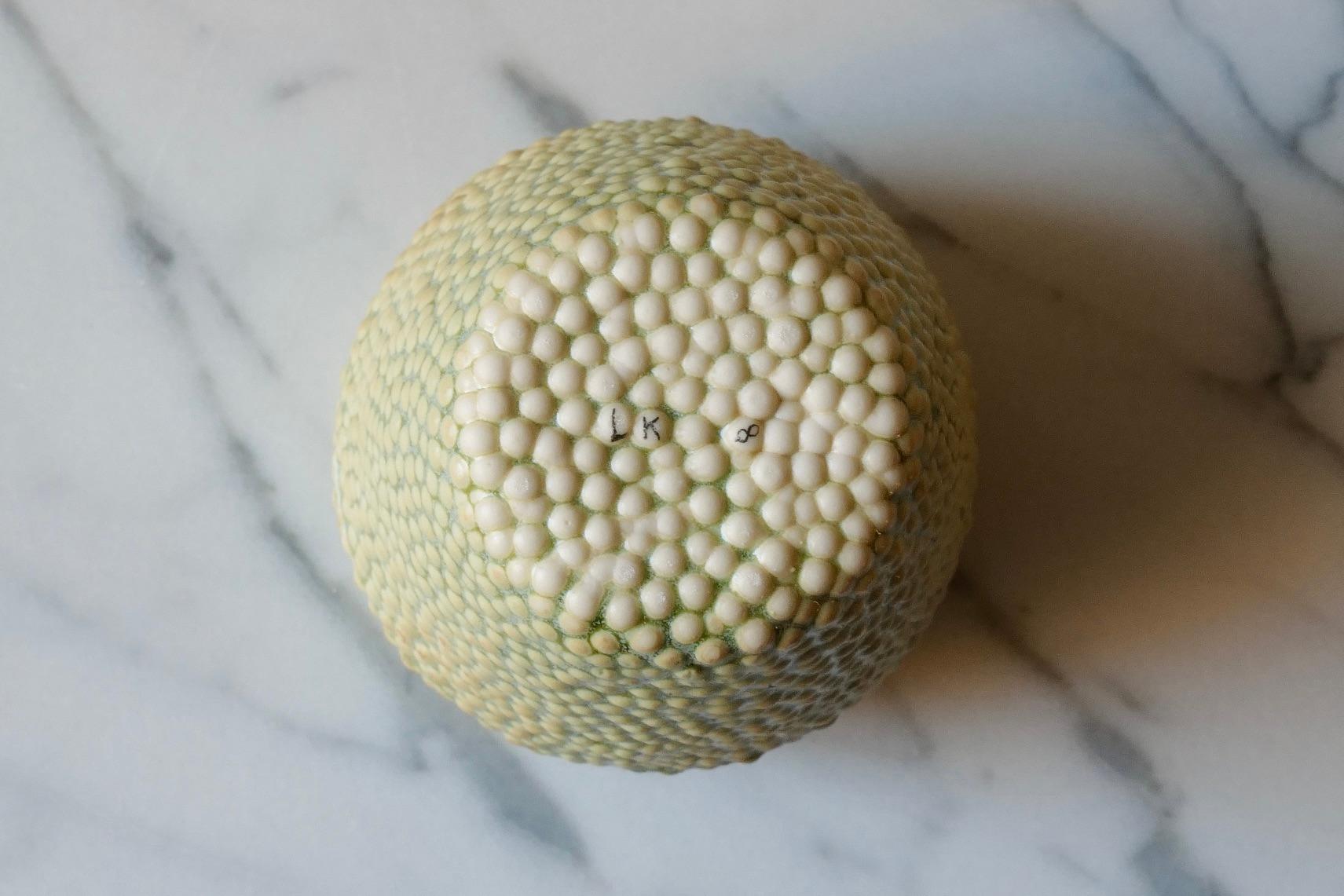 Ceramic Green Caviar Porcelain Tumbler by Lana Kova