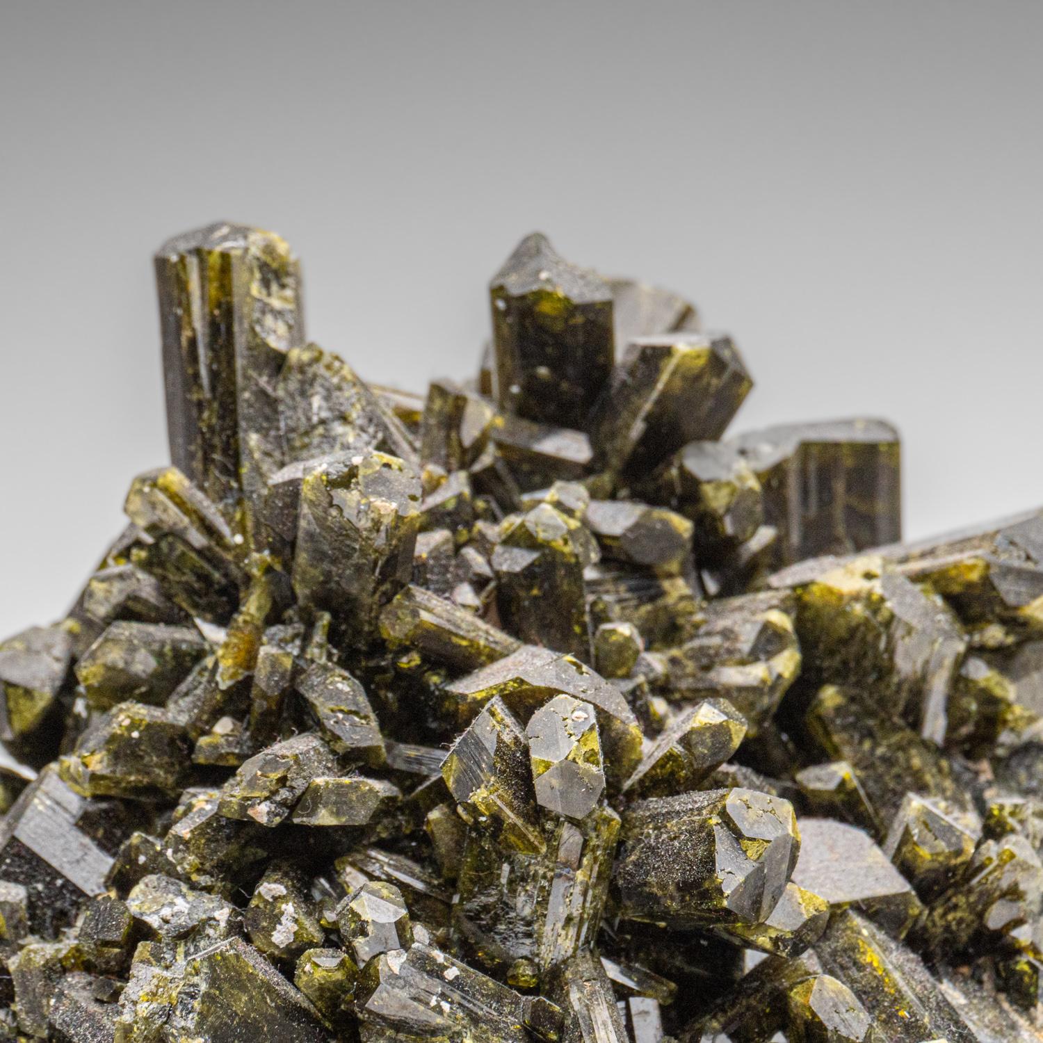 En  Diakon, Kayes, Malí

Gran racimo de cristales de epidota verde oscuro en formación paralela sobre matriz de gosan. Grupo de cristales de epidota de color verde intenso, lustrosos y de doble terminación.


Peso: 1,5 libras, Dimensiones: 3,75 x 3