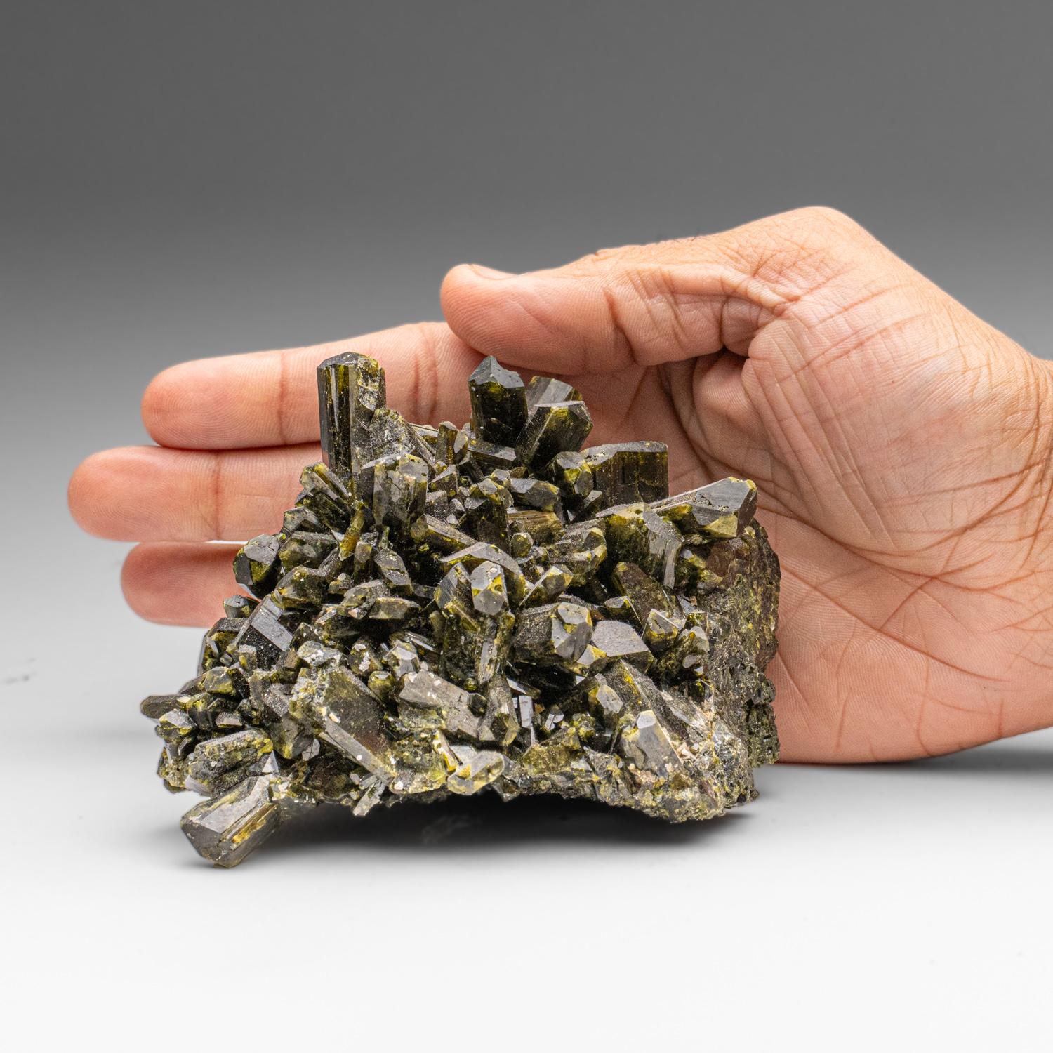 Racimo de Epidota Verde de Diakon, Kayes, Mali Maliense en venta