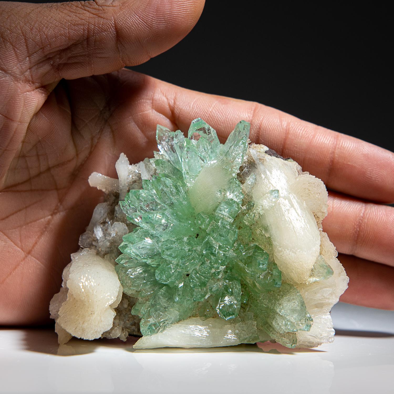 Acrylic Natural Genuine Green Fluorapophyllite Mineral From India For Sale