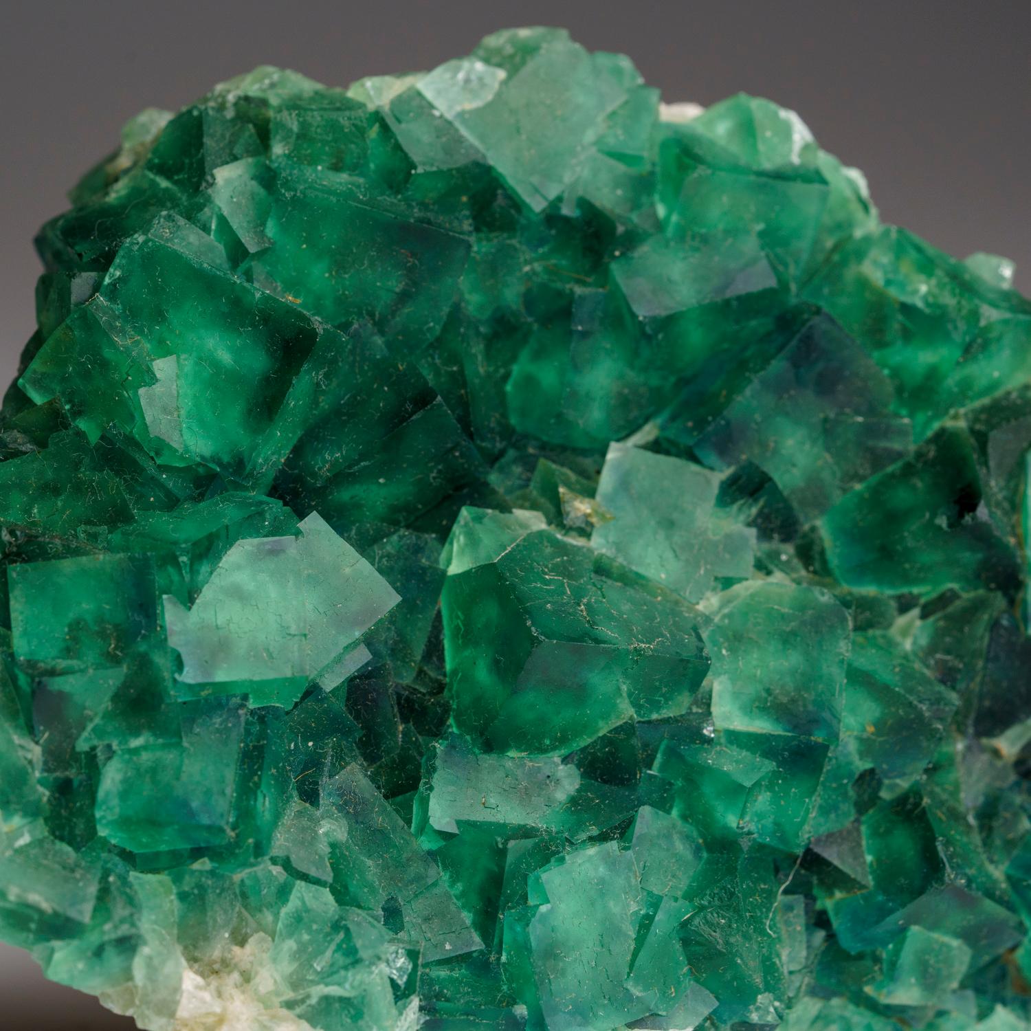 Dalla miniera di Shanhua Pu, Xianghualing, provincia di Hunan, Cina

Cristalli cubici di fluorite verde trasparente su matrice. I cristalli di fluorite sono trasparenti e di forma cubica con angoli complessi di piccole facce cubiche
