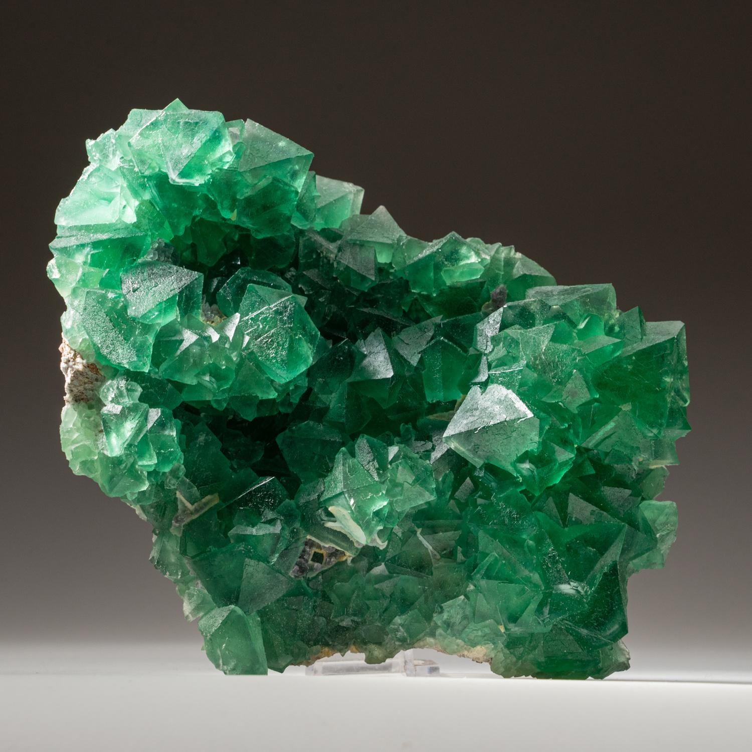 Green Fluorite Cluster from Yaogangxian Mine, Nanling Mountains, Hunan Province, China. 

Complex intersecting formation of transparent emerald fluorite crystals showing a well defined octahedral form.

Weight: 2.20 lbs

Size: 6 x 2 x 5 inches.