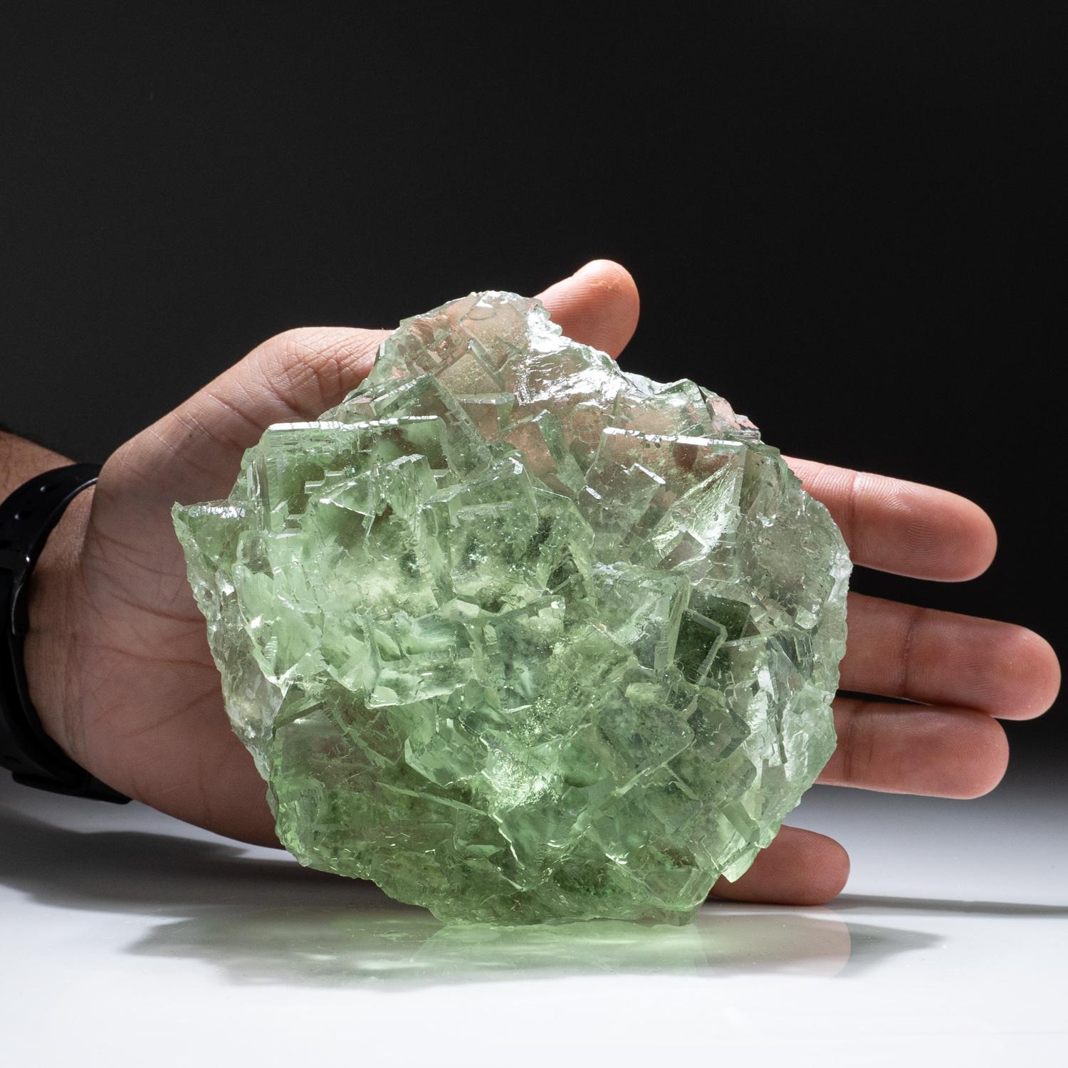 From Xianghualing, Hunan Province, China

Internally clear transparent crystal cluster of vivid green cubic fluorite crystals on matrix. The matrix is clearly visible through the crystals due to clear transparency. The crystals have well defined