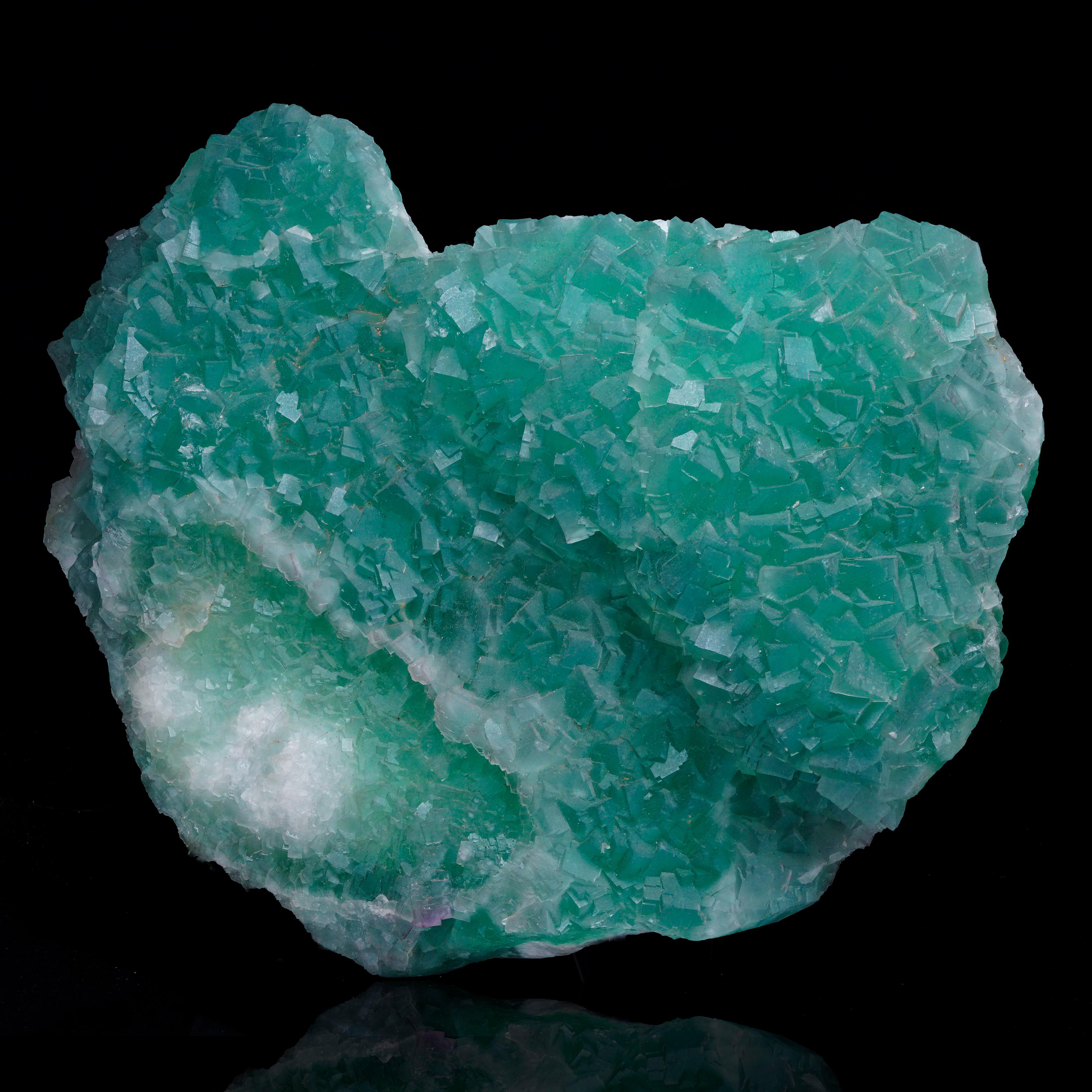 Questo pezzo di fluorite verde presenta cristalli cubici di fluorite densi e ben definiti che sembrano ondeggiare sulla forma del campione. Grazie al suo fascino estetico e mineralogico, la fluorite si distingue per la sua lucentezza naturale in