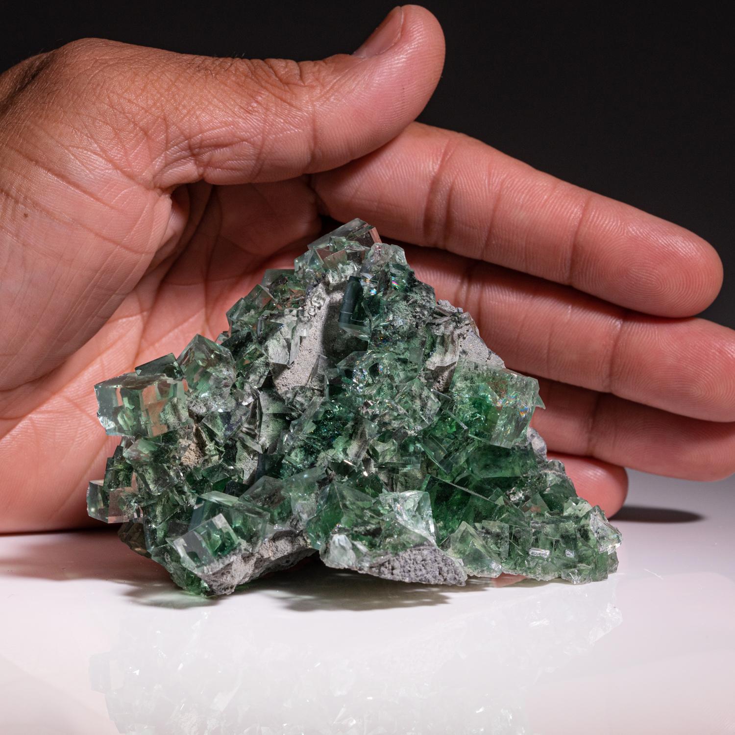 From Yaogangxian Mine, Nanling Mountains, Hunan Province, China  

Internally clear transparent crystal cluster of vivid green cubic fluorite crystals on matrix. The matrix is clearly visible through the crystals due to clear transparency. The