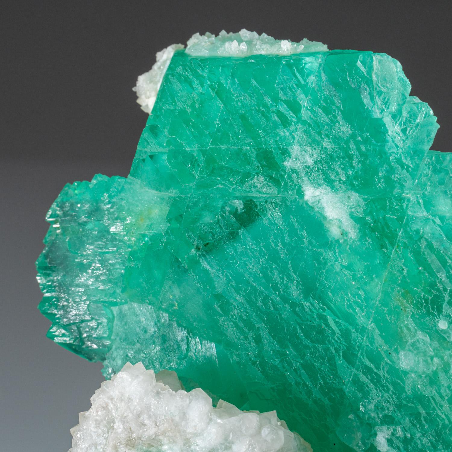 From Yaogangxian Mine, Nanling Mountains, Hunan Province, China  

Exceptionally large lustrous crystal of emerald green transparent fluorite with with colorless quartz crystals. The fluorite crystal with glassy crystal faces.

 

Weight: 1.75 lbs,