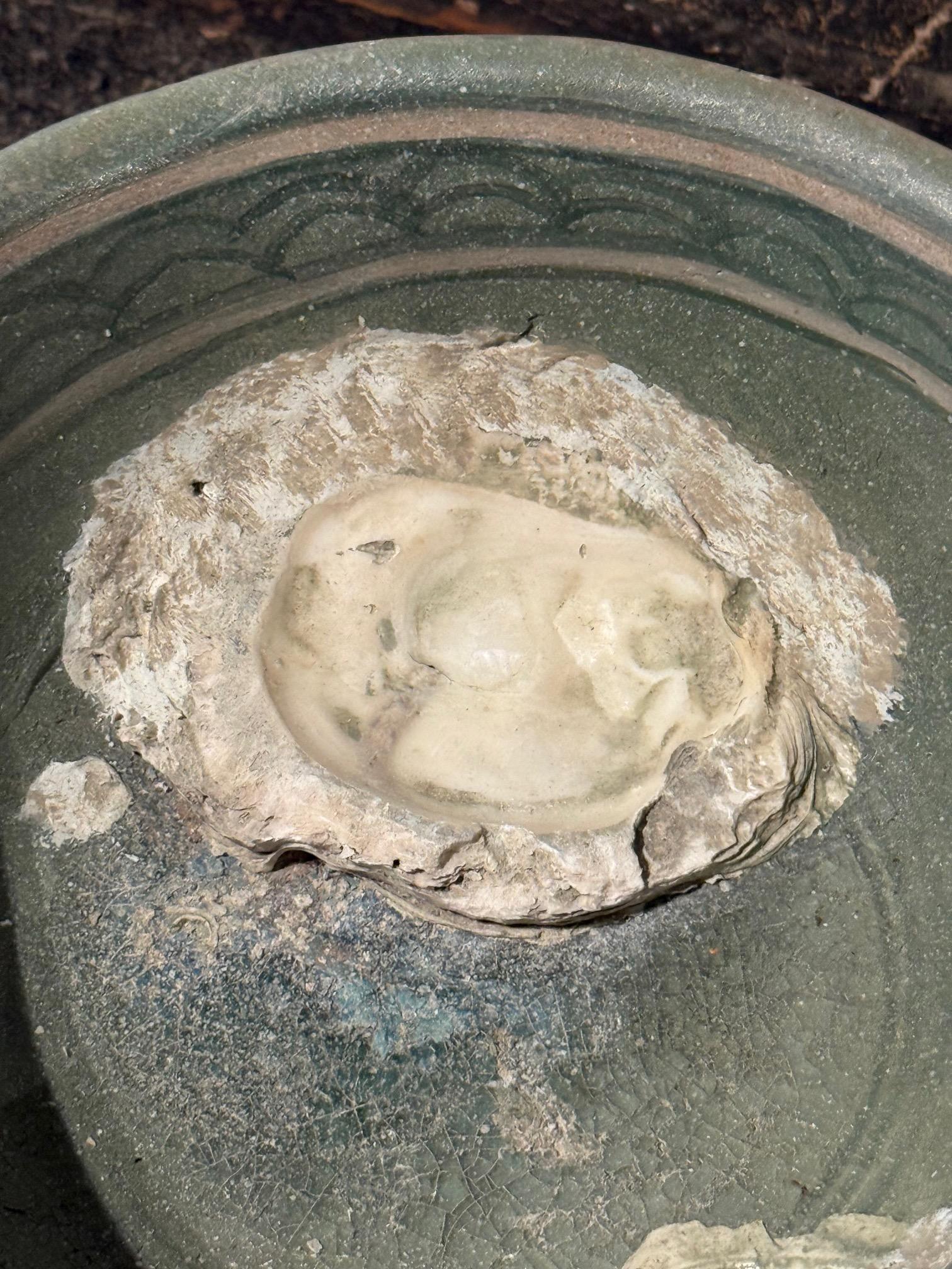 Thaïlandais Bol à épave de navire Sawankhalok à glaçure verte, Thaïlande, XVIe siècle en vente