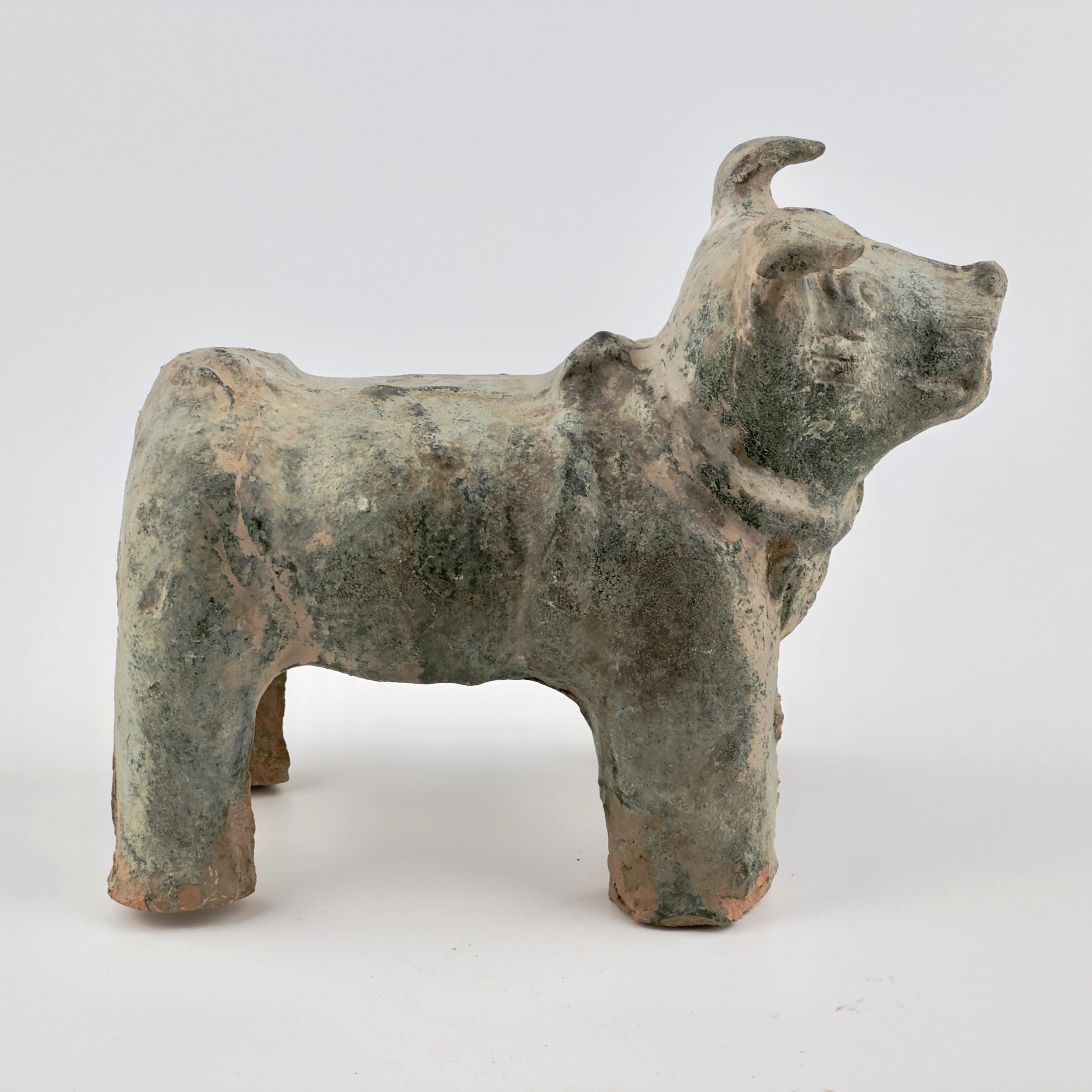 Green Glazed Red Pottery Figure of Dog, Han dynasty (206 BC-220 AD) For Sale 6