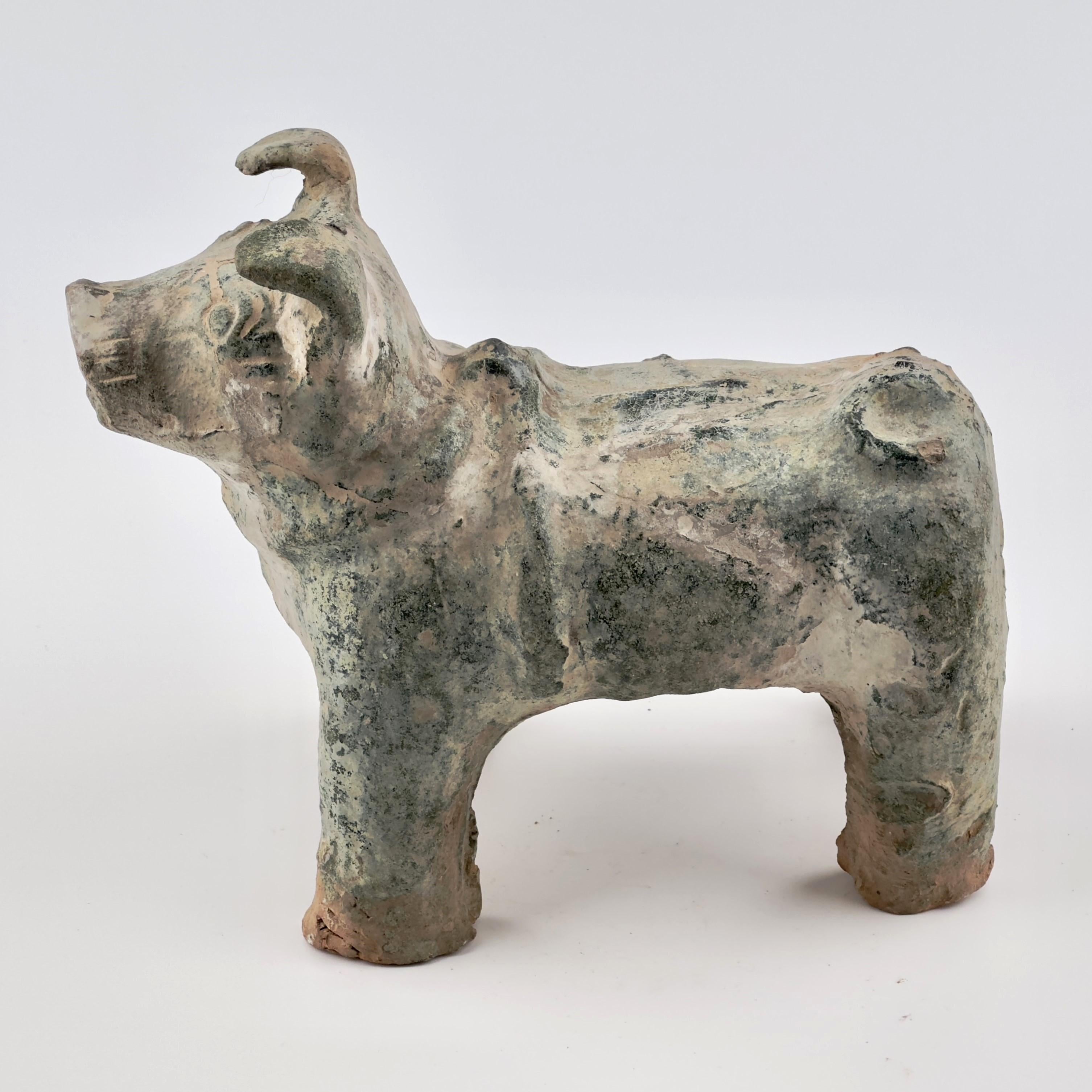 Green Glazed Red Pottery Figure of Dog, Han dynasty (206 BC-220 AD) For Sale 7