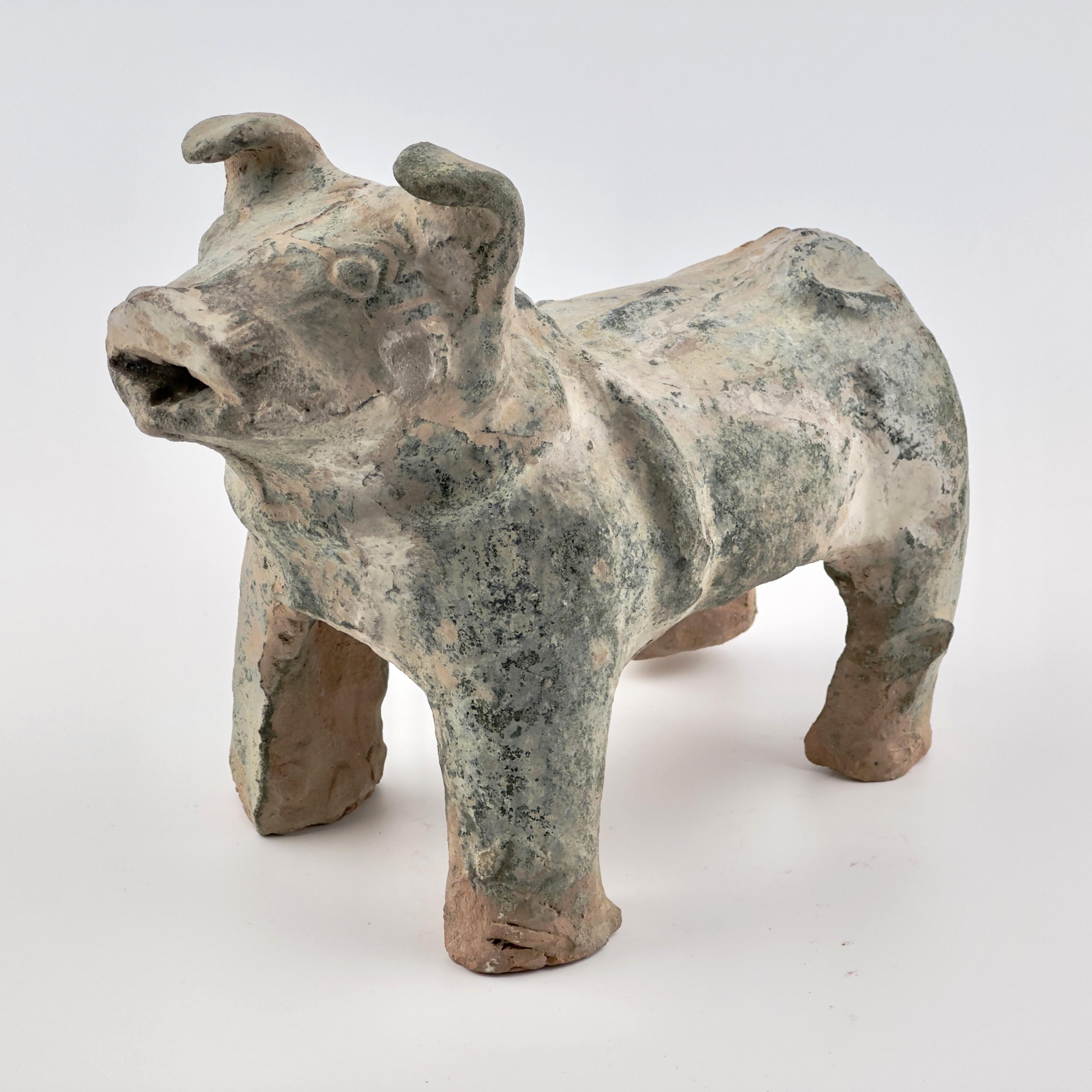Green Glazed Red Pottery Figure of Dog, Han dynasty (206 BC-220 AD) For Sale 8