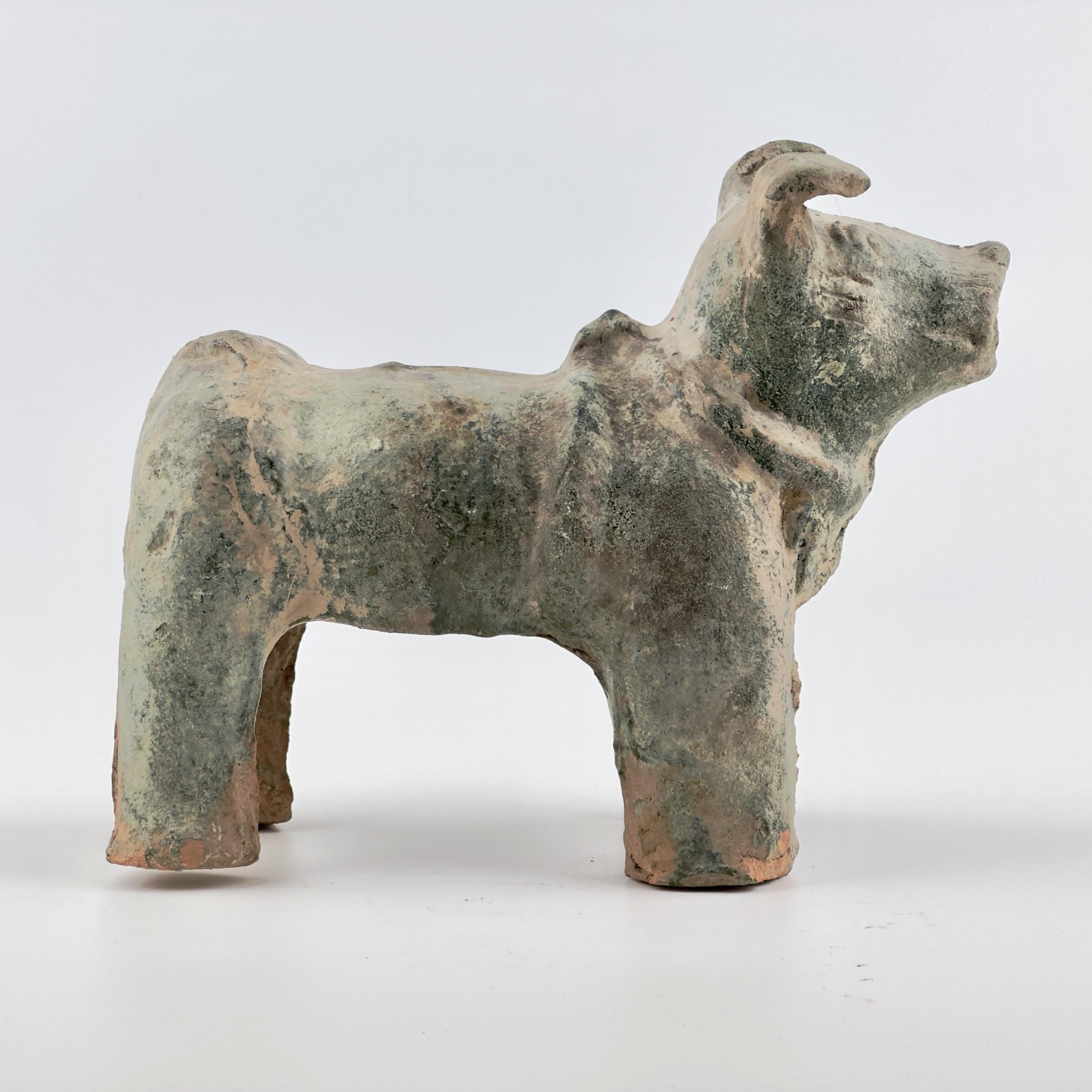 The dog faces forward, with clearly defined eyes that stand out. Its ears are slightly curled, giving the impression of a relaxed, natural stance. The collar around its neck, connected to a harness, suggests that the dog may have been used for