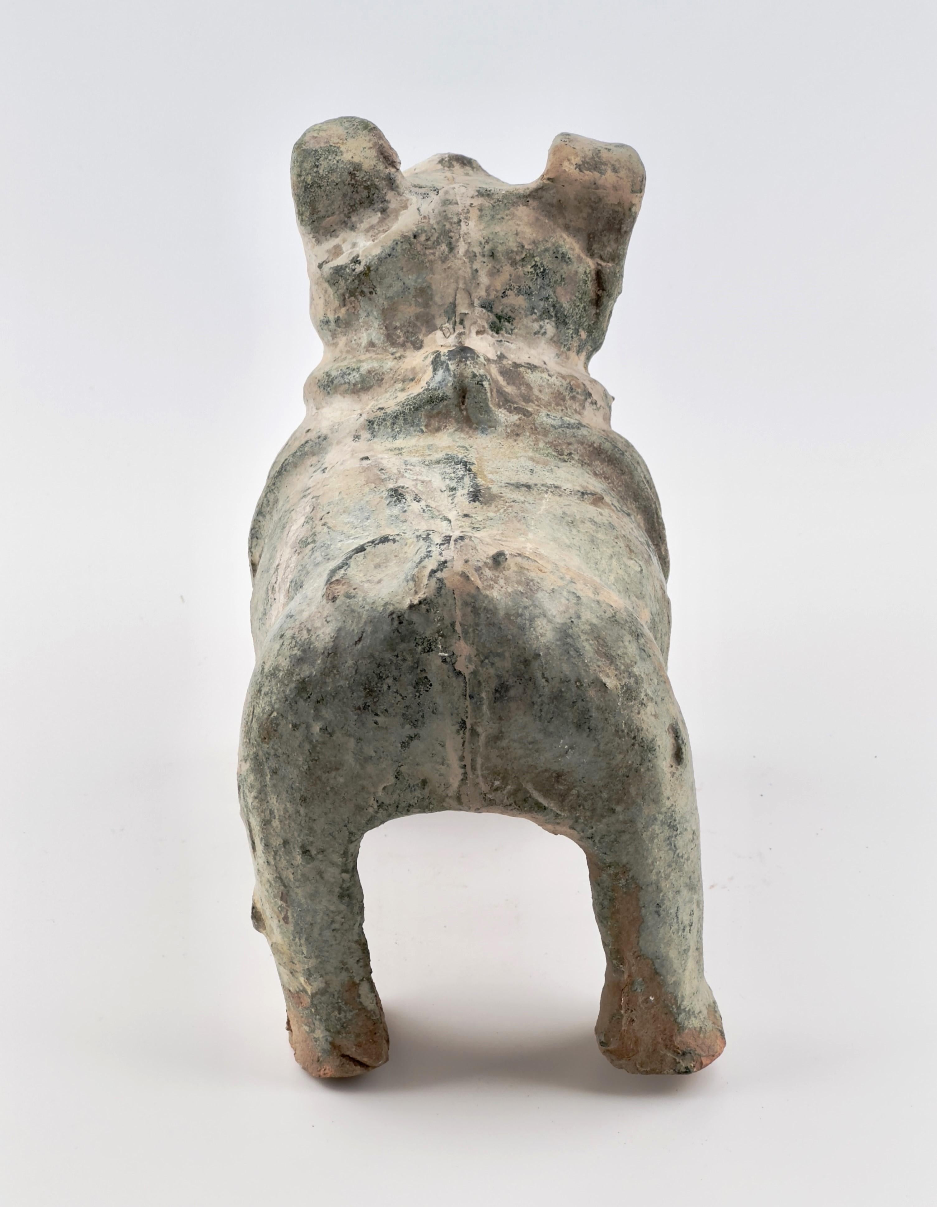 Hong Kong Green Glazed Red Pottery Figure of Dog, Han dynasty (206 BC-220 AD) For Sale
