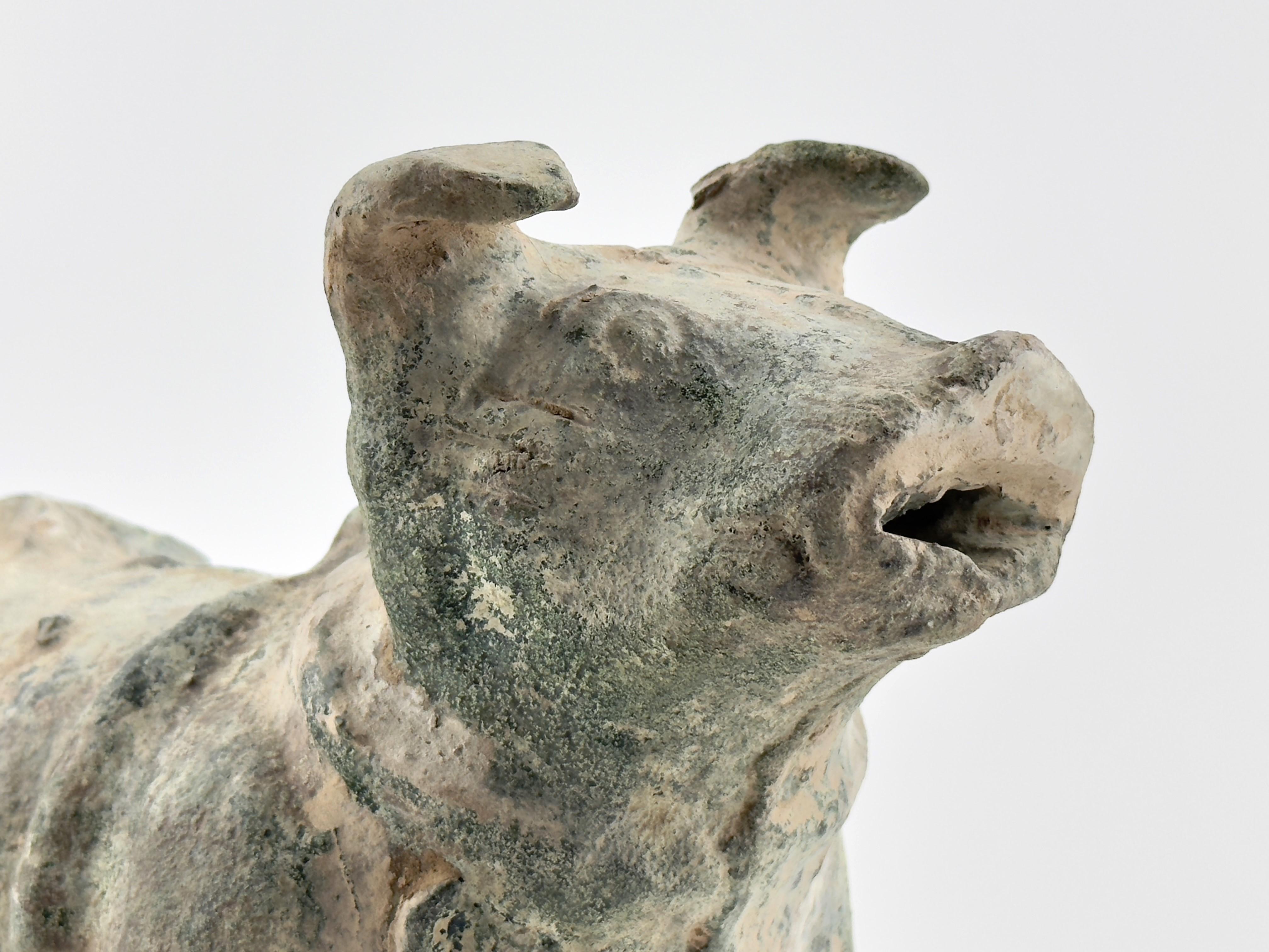 Green Glazed Red Pottery Figure of Dog, Han dynasty (206 BC-220 AD) For Sale 2